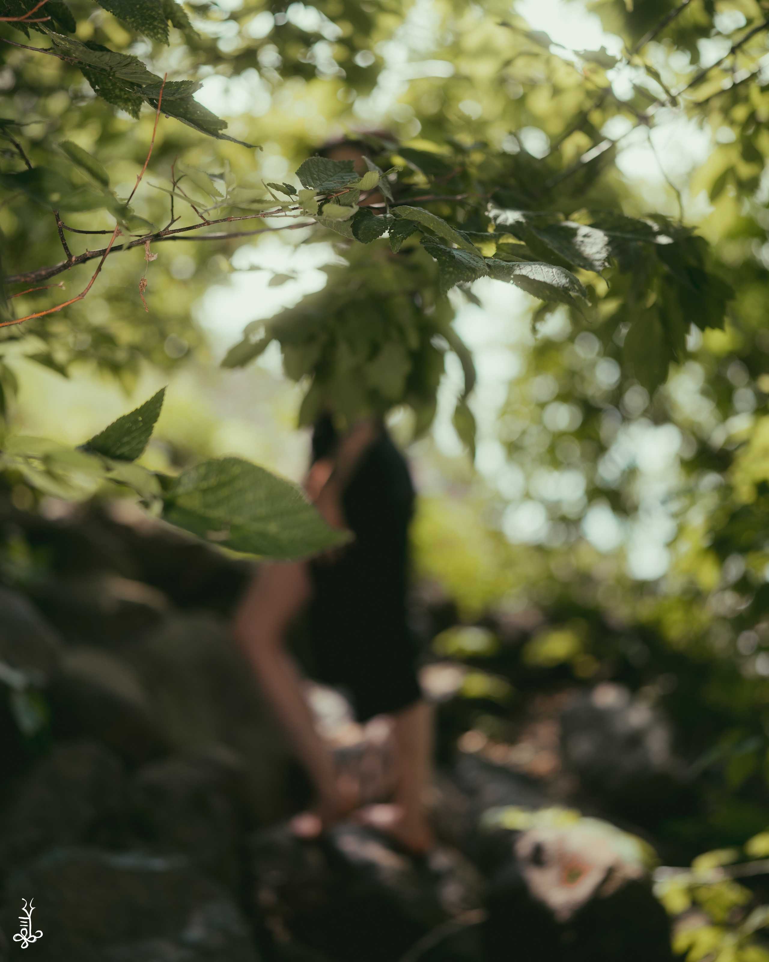 HALIANA. Ke’Ondris