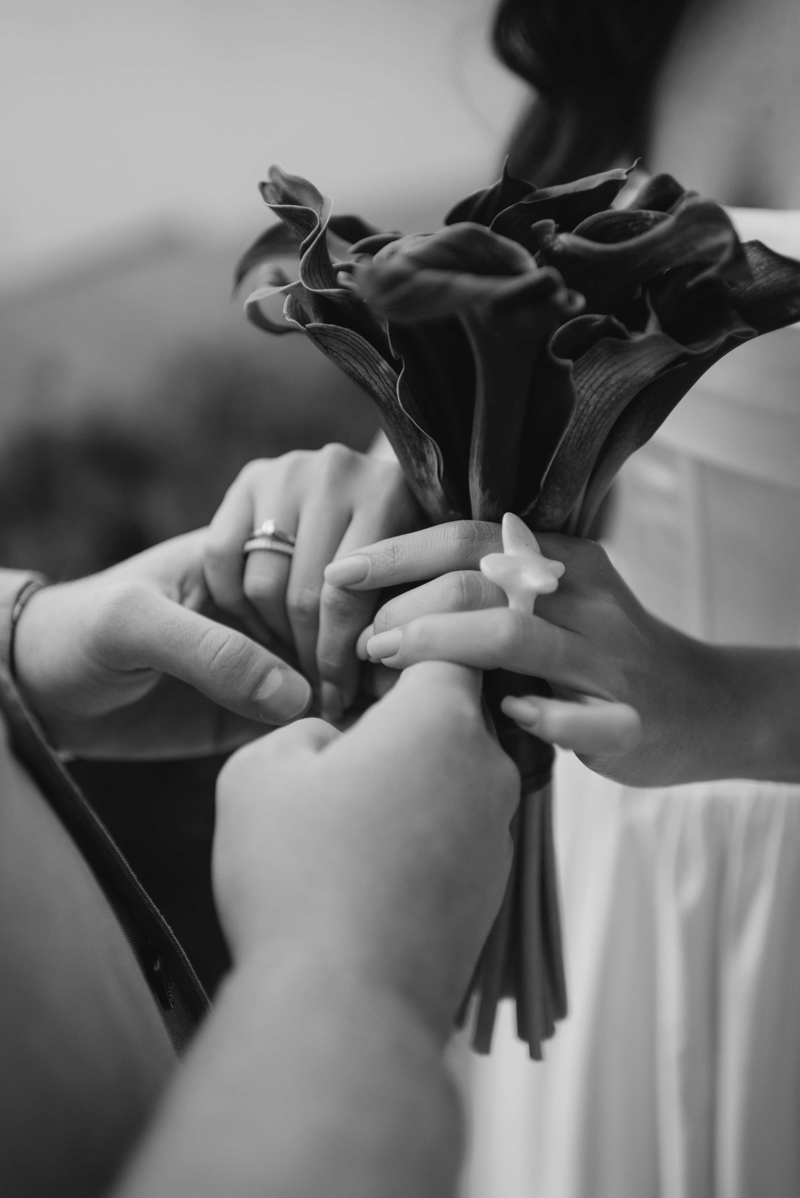 *. Maanukki photographer