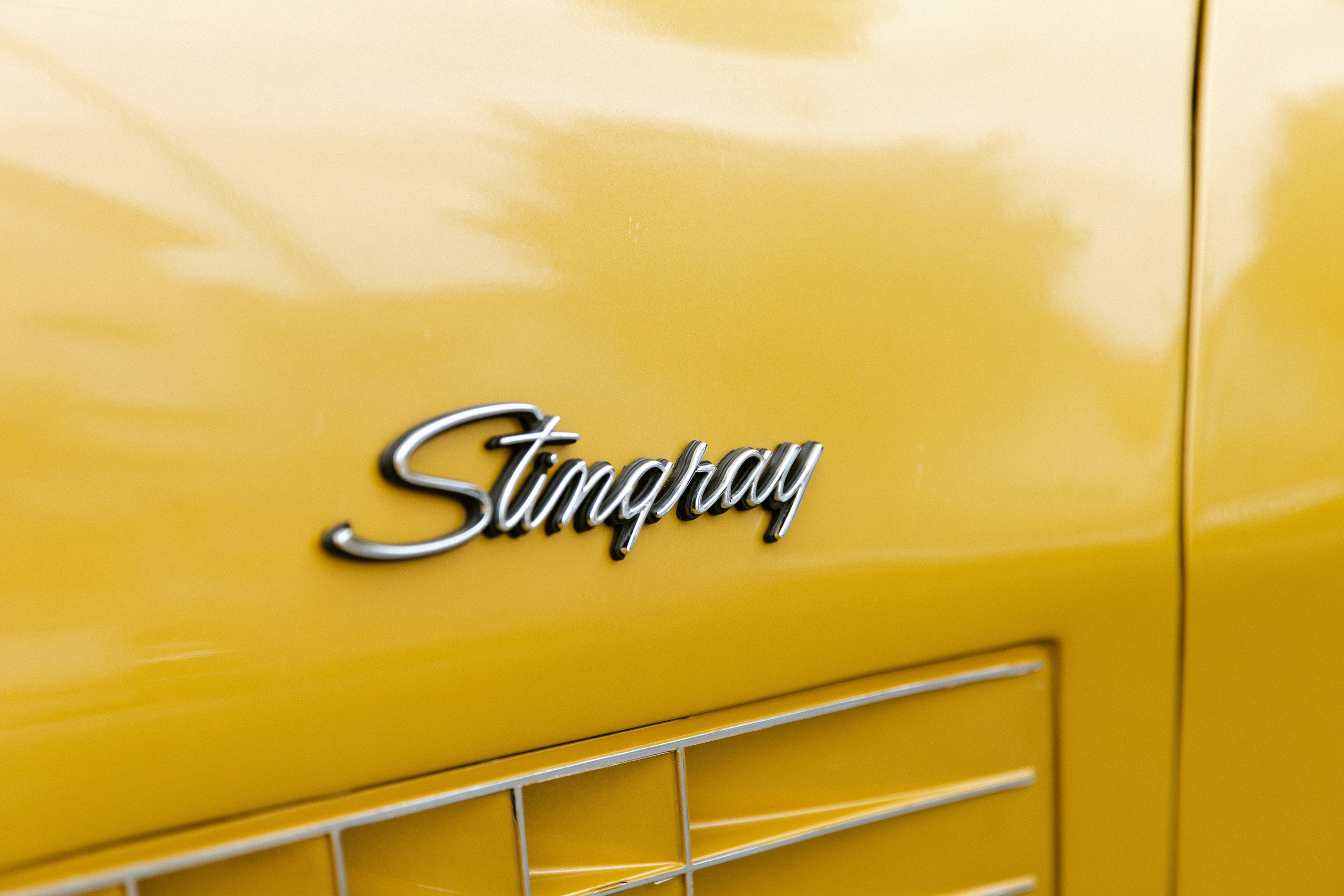 Swann & Zeineb. Photographer in Paris