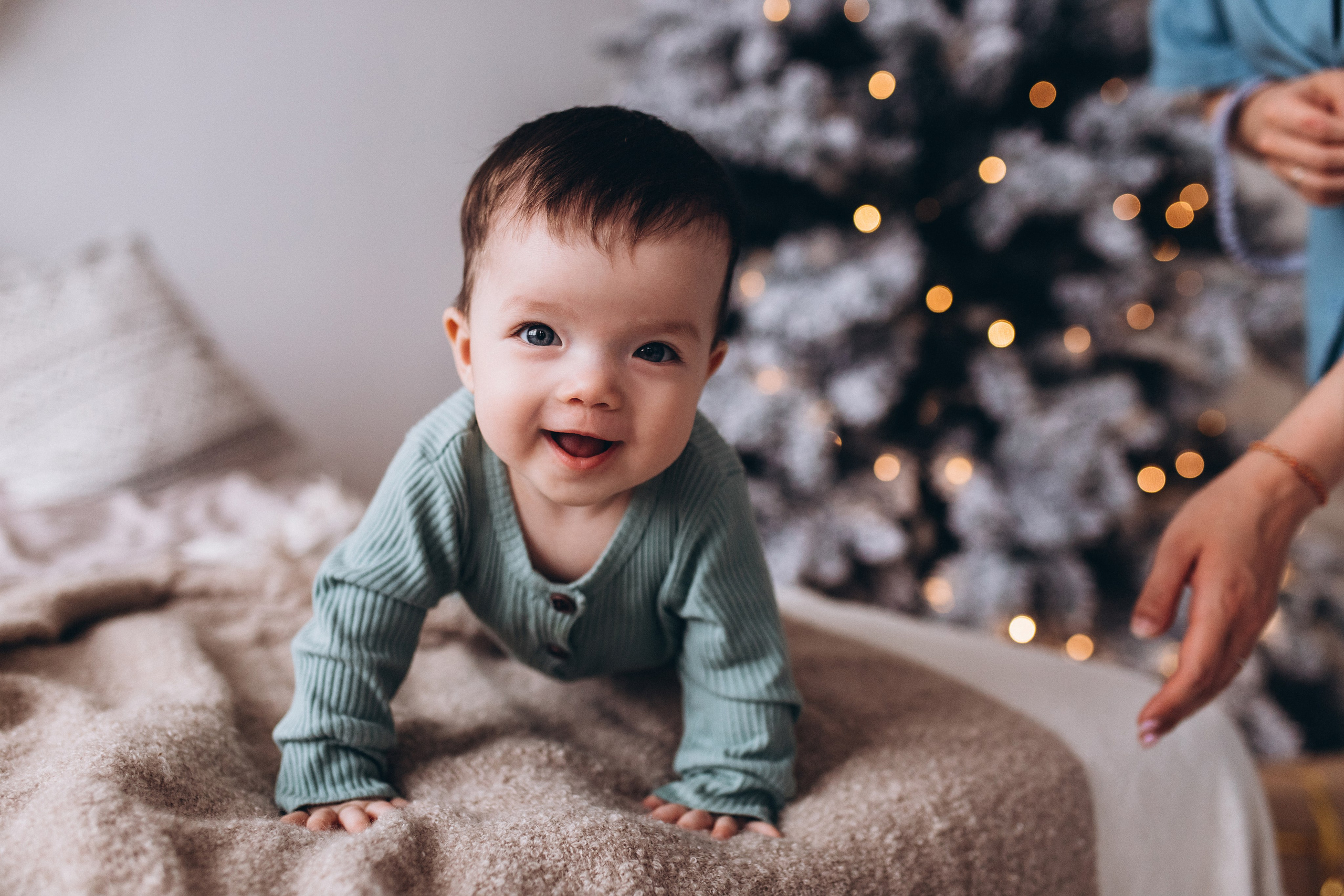 Family. Portrait and family photographer in Fort Collins Dania Gaisina