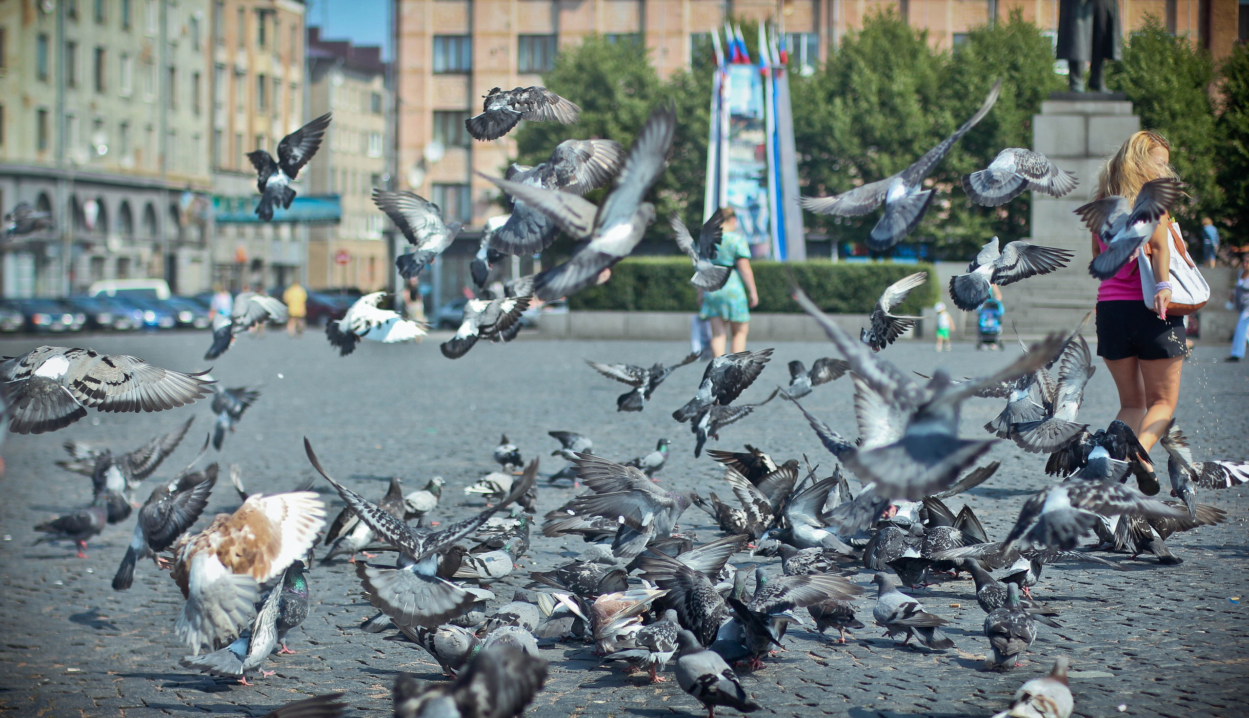 2011. Стрит-фотография, полная абсурда, идиотизма и красоты