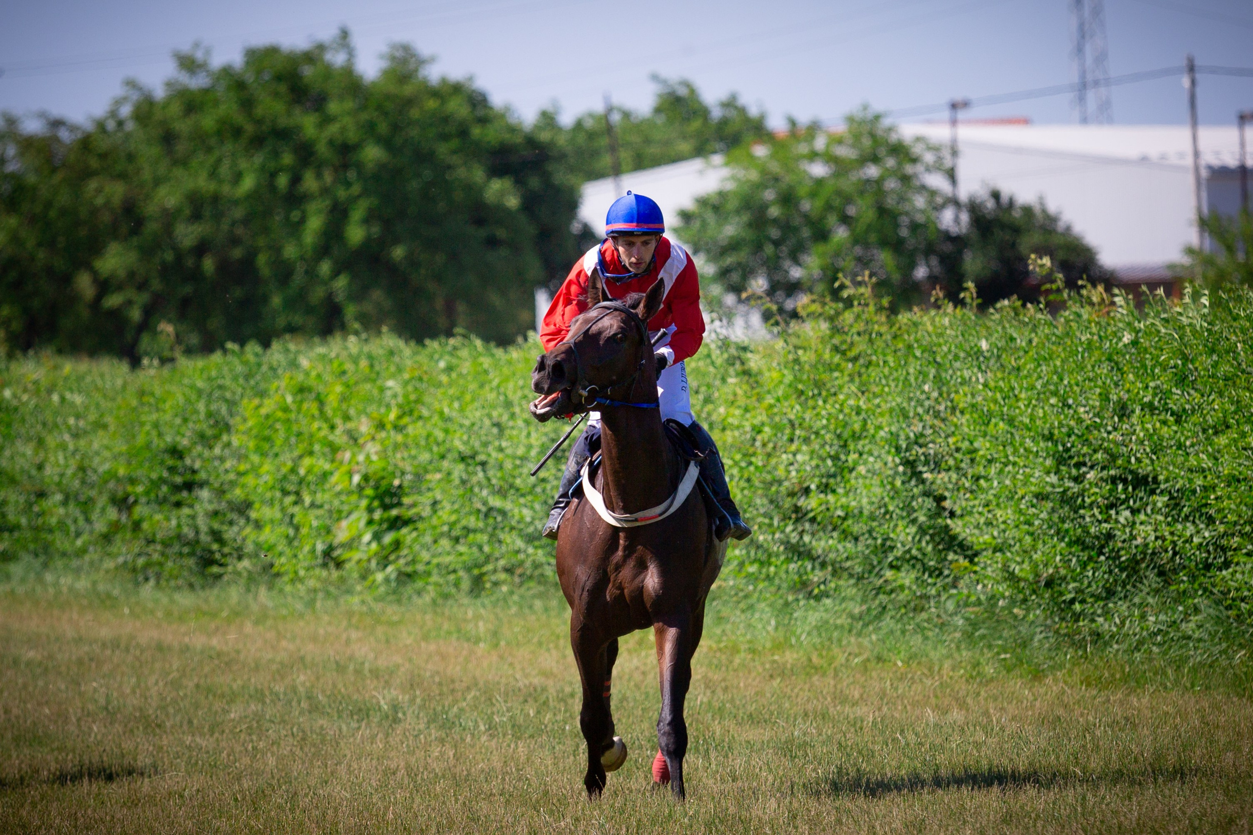 Konjičke trke u Požarevcu. Fotoivanpancevo