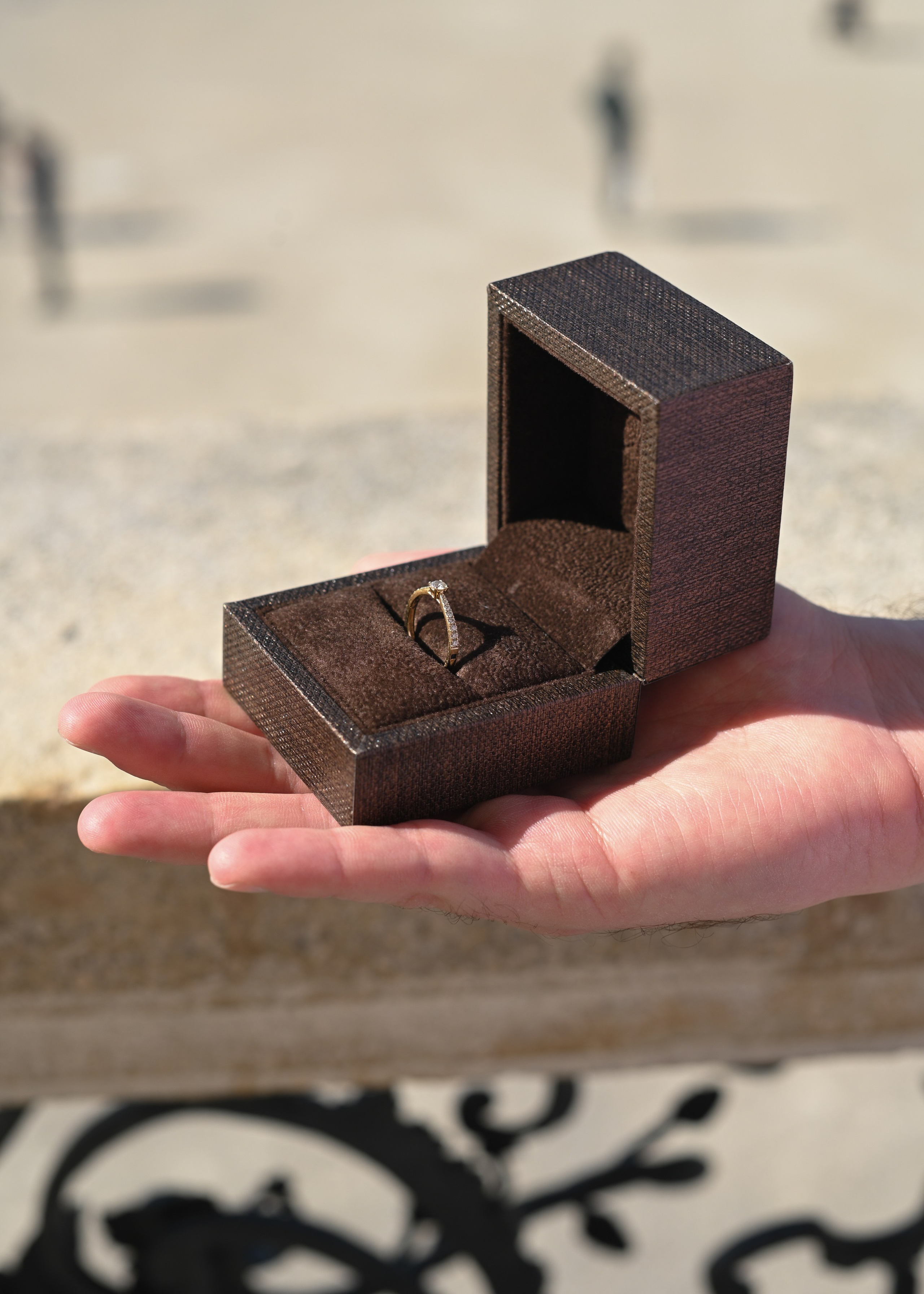 Lazar & Liviana in Vienna. Photo Vienna and Bratislava