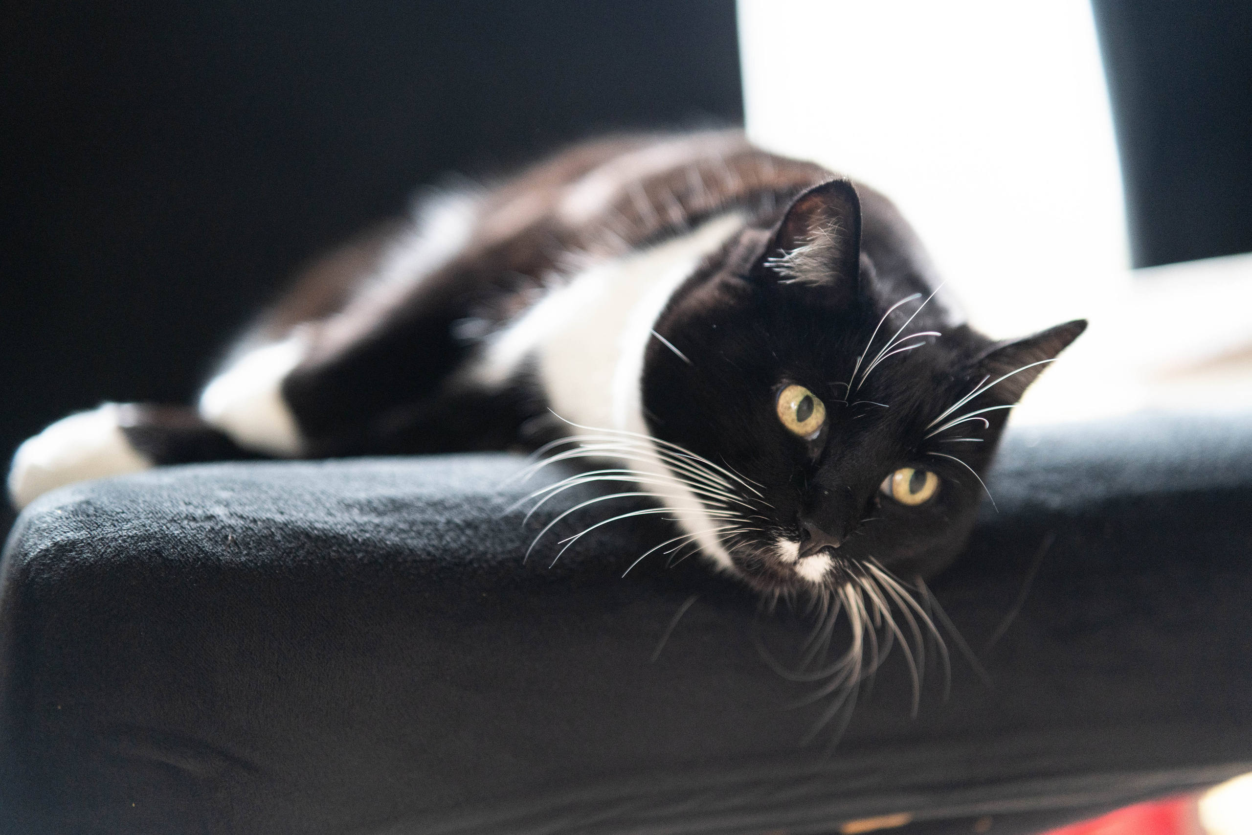 Ana Candles — Creation of Home-made candles. Nina Janeckova Fotografin und Videografin am Bodensee