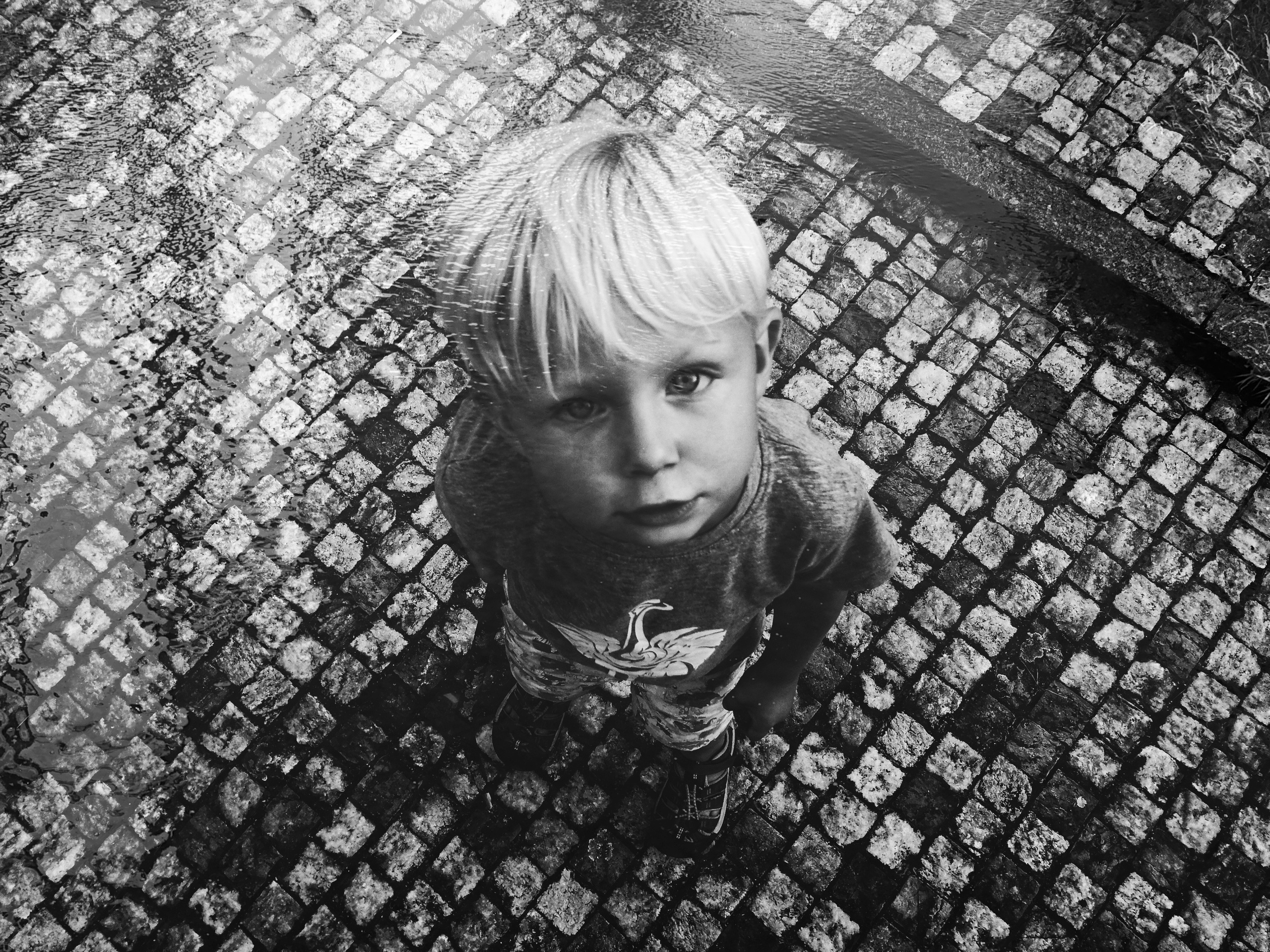 Mobilography. Nina Janeckova Fotografin und Videografin am Bodensee