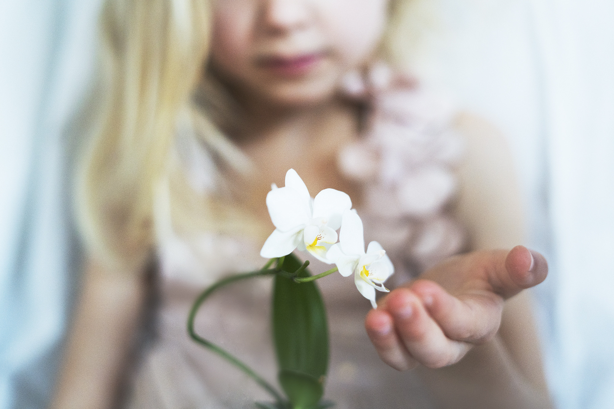 ART FREESTYLE. Nina Janeckova Photographer and Videographer in Bodensee Ravensburg