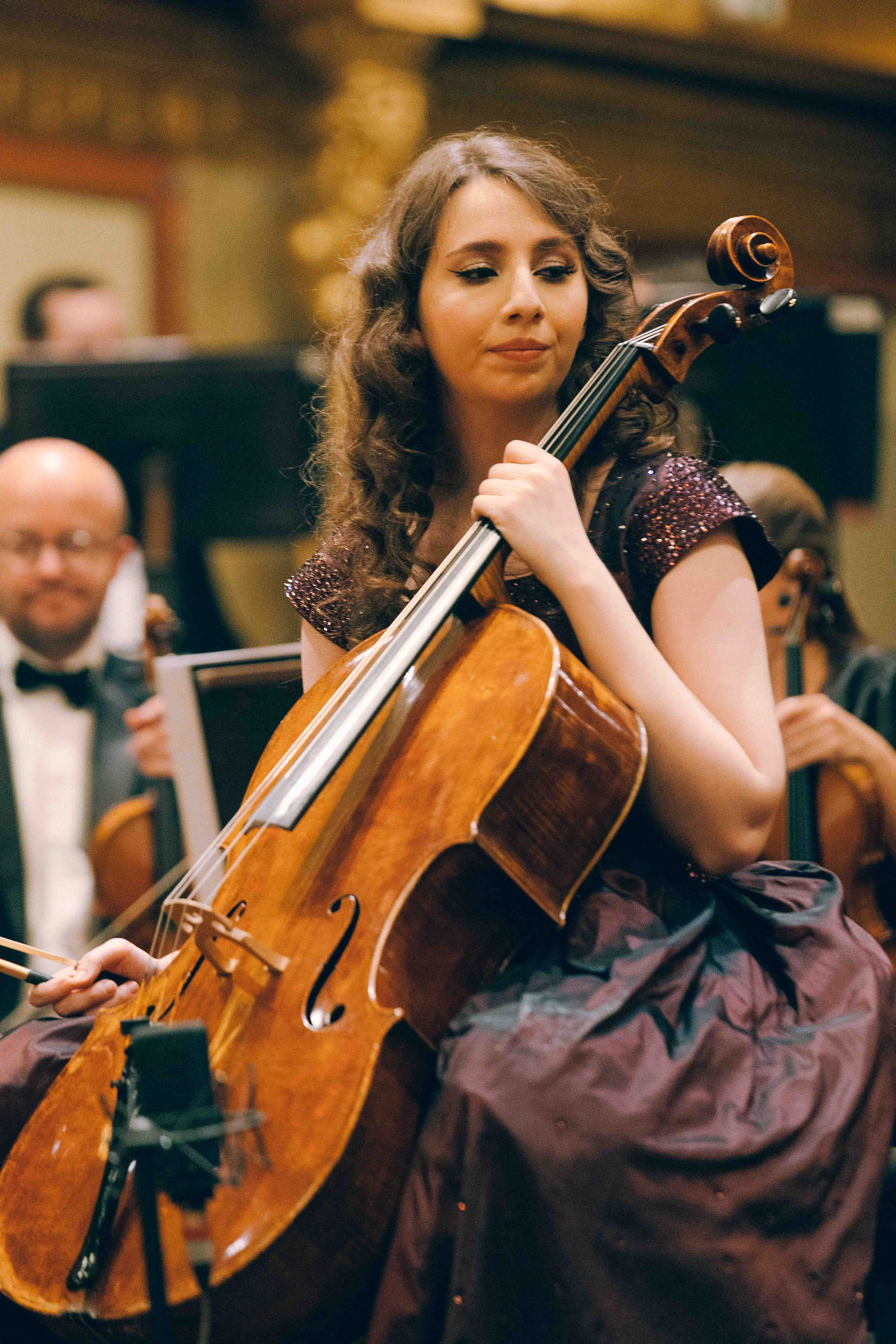 MUSIKVEREIN (VIENNA). Wedding&Event photographer Ismail Rzayev in Baku
