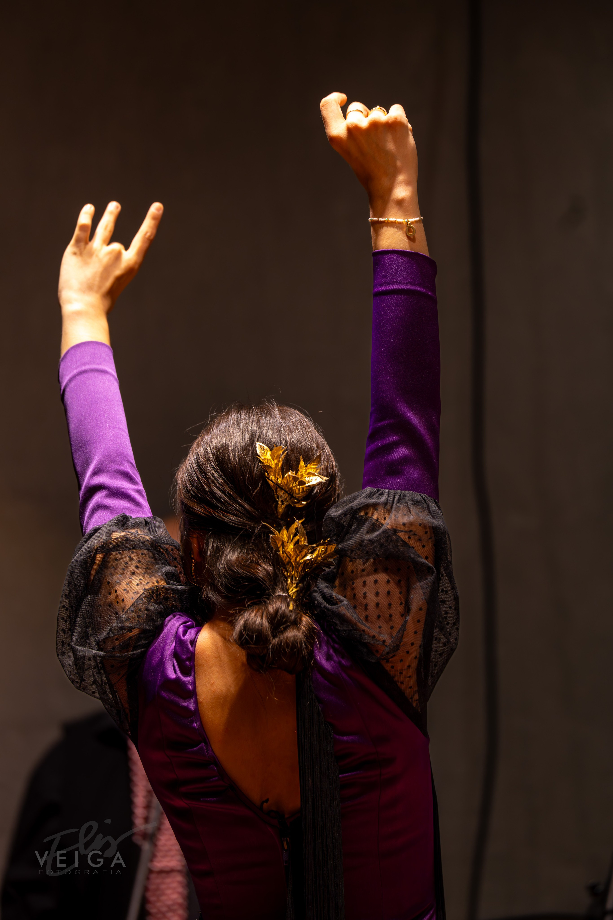 Espectáculo Baile. Elisveiga