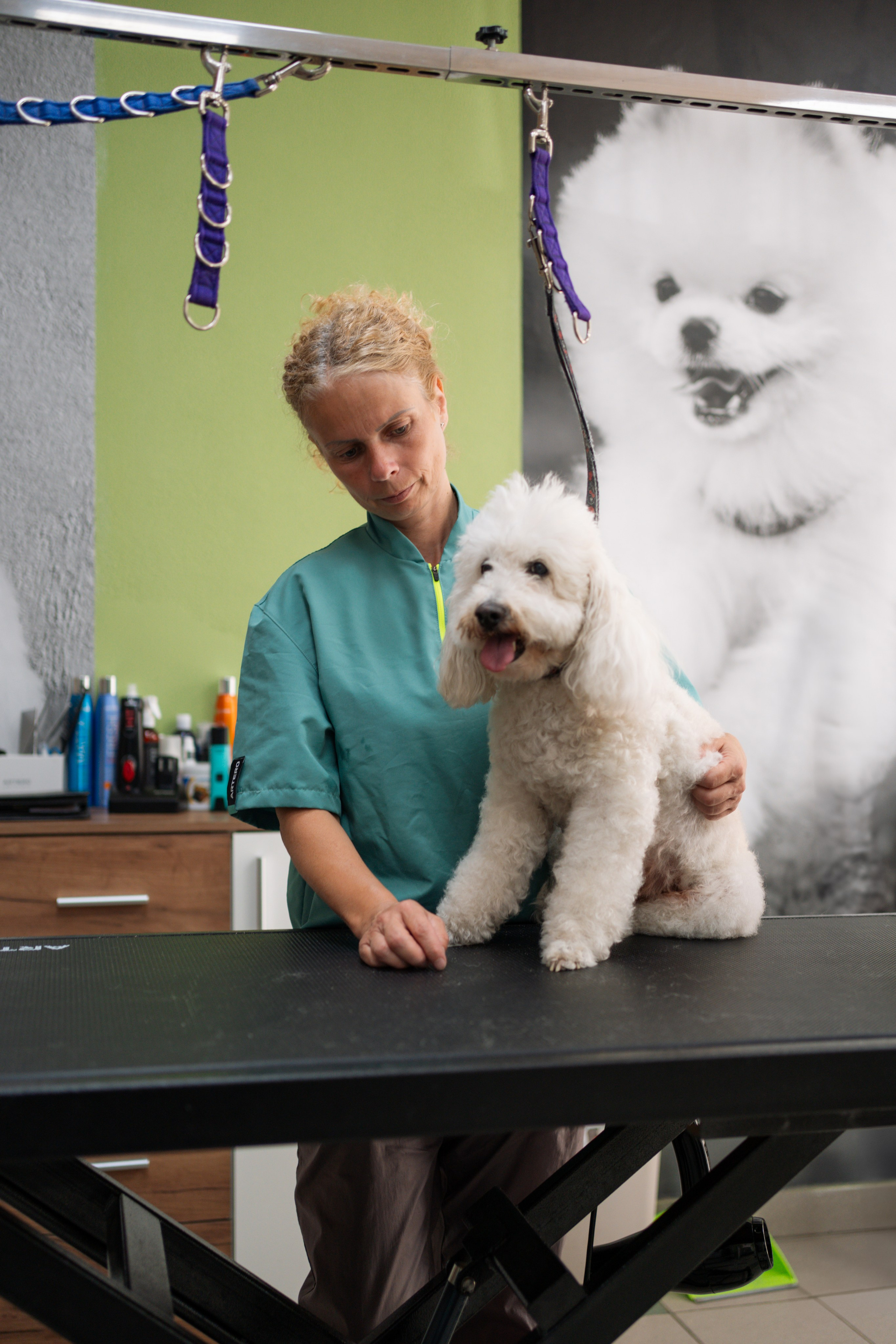 PetGroom Timisoara. Cozac Cristian Photographer