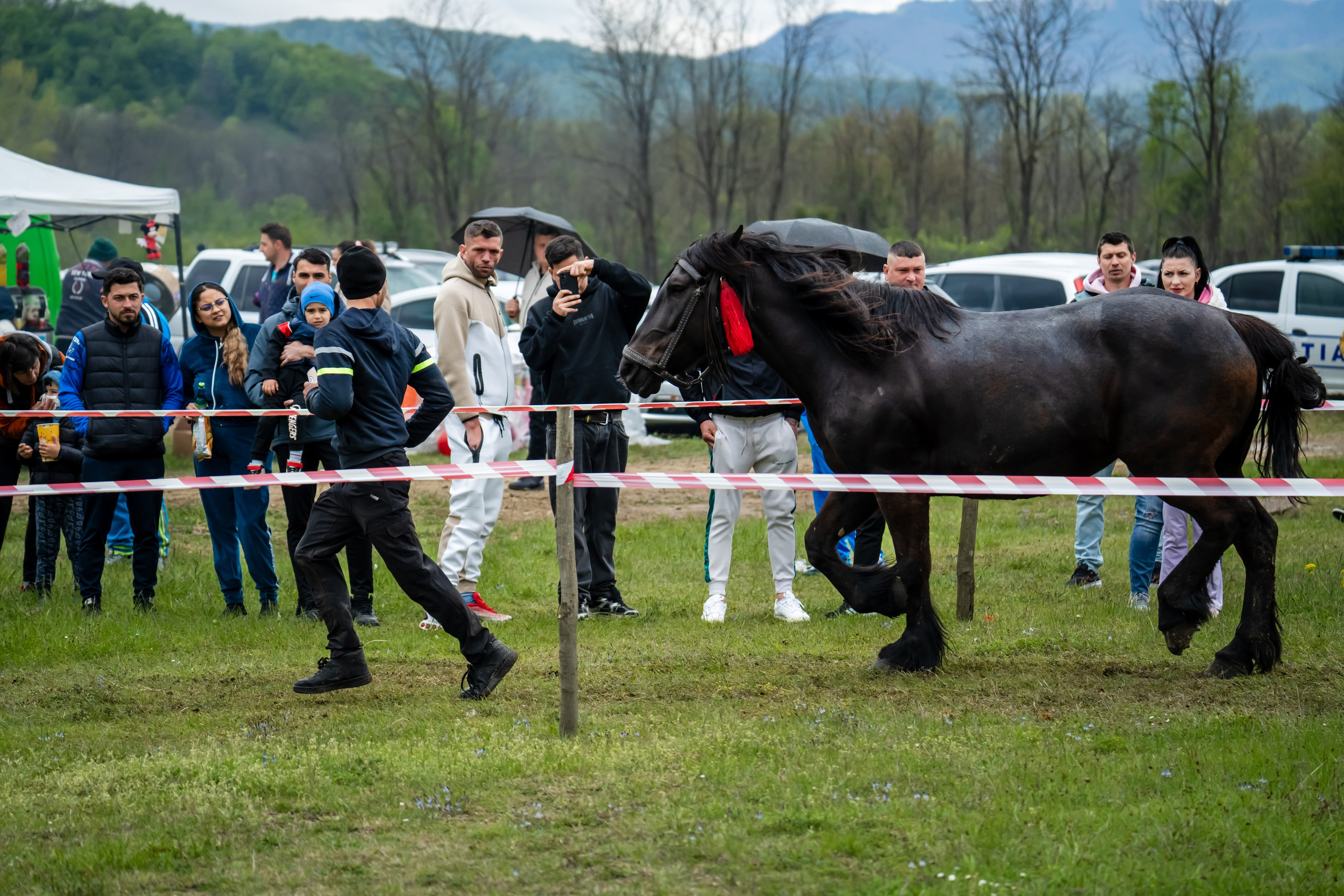 Concurs Ecvestru Vărbilău ediția a 4-a. Mihai Alexandra Events