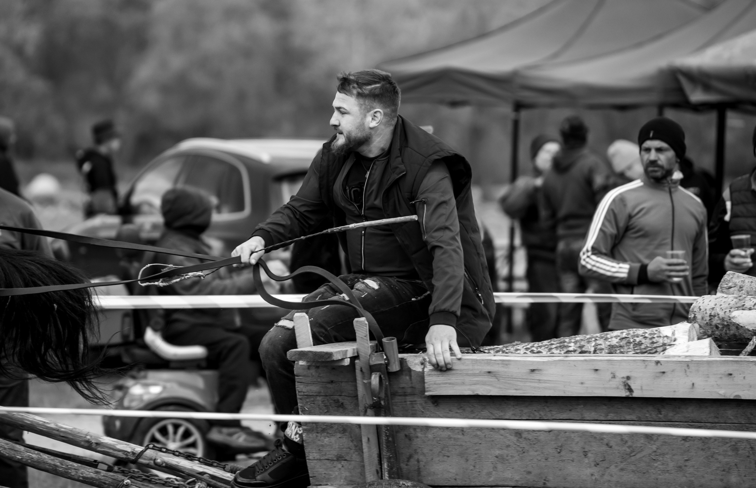 Concurs Ecvestru Vărbilău ediția a 4-a. Mihai Alexandra Events