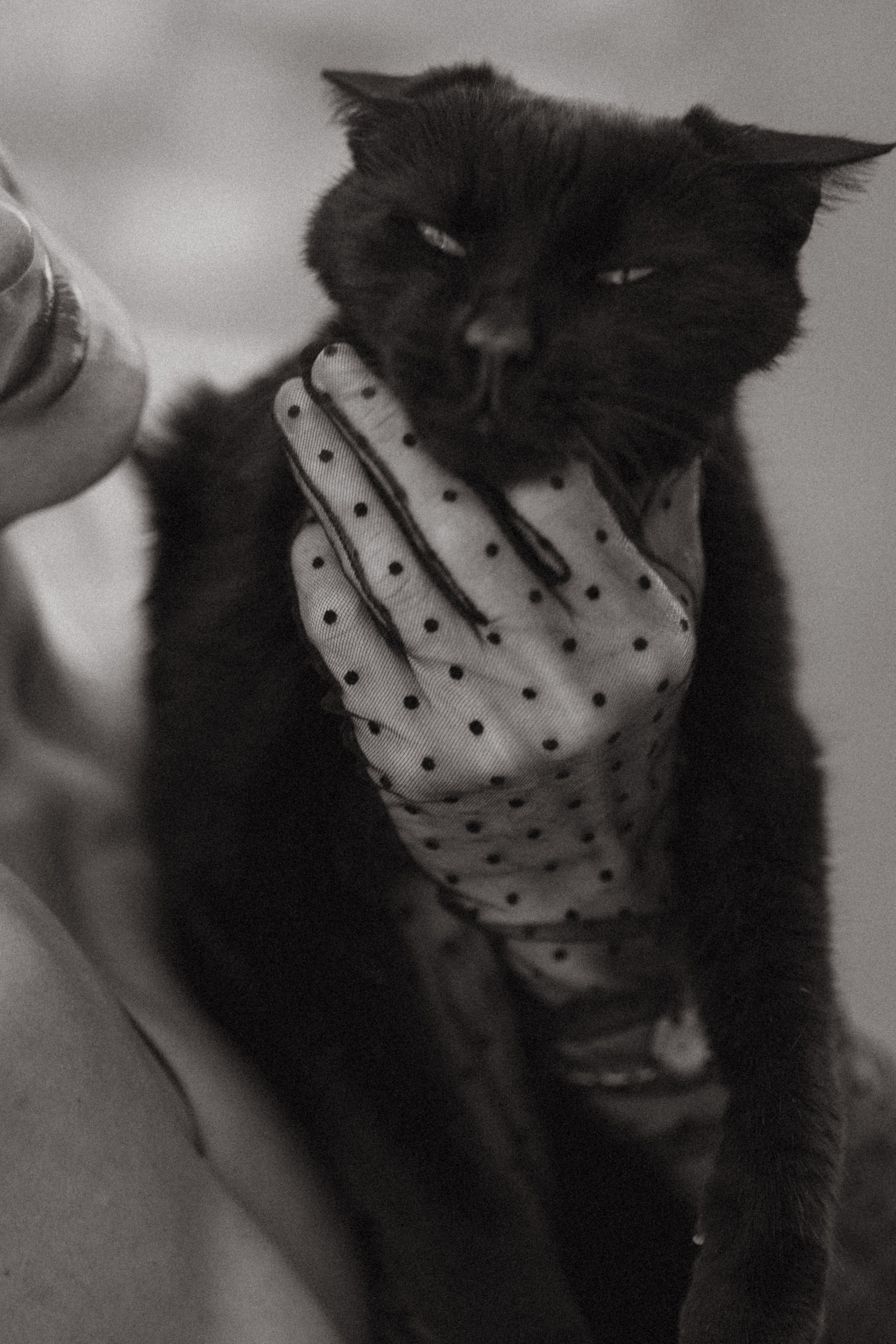 Katerina Mougins. Photographe à Nice, Cannes et Antibes | Inna Dudareva