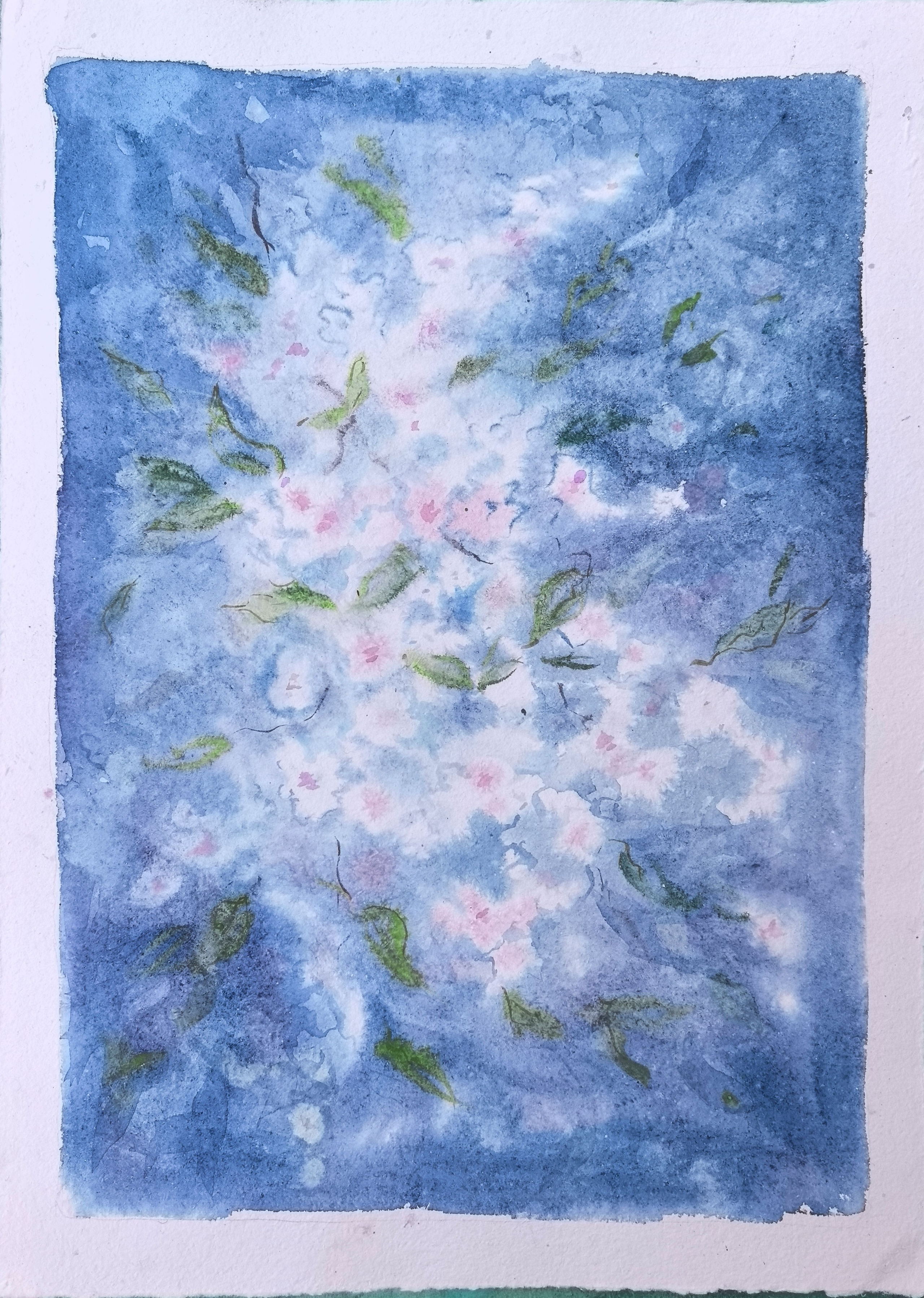 New watercolor collection Summer 2026. Professional Artist, teacher of art, Artistic Photographer In Dubai (U