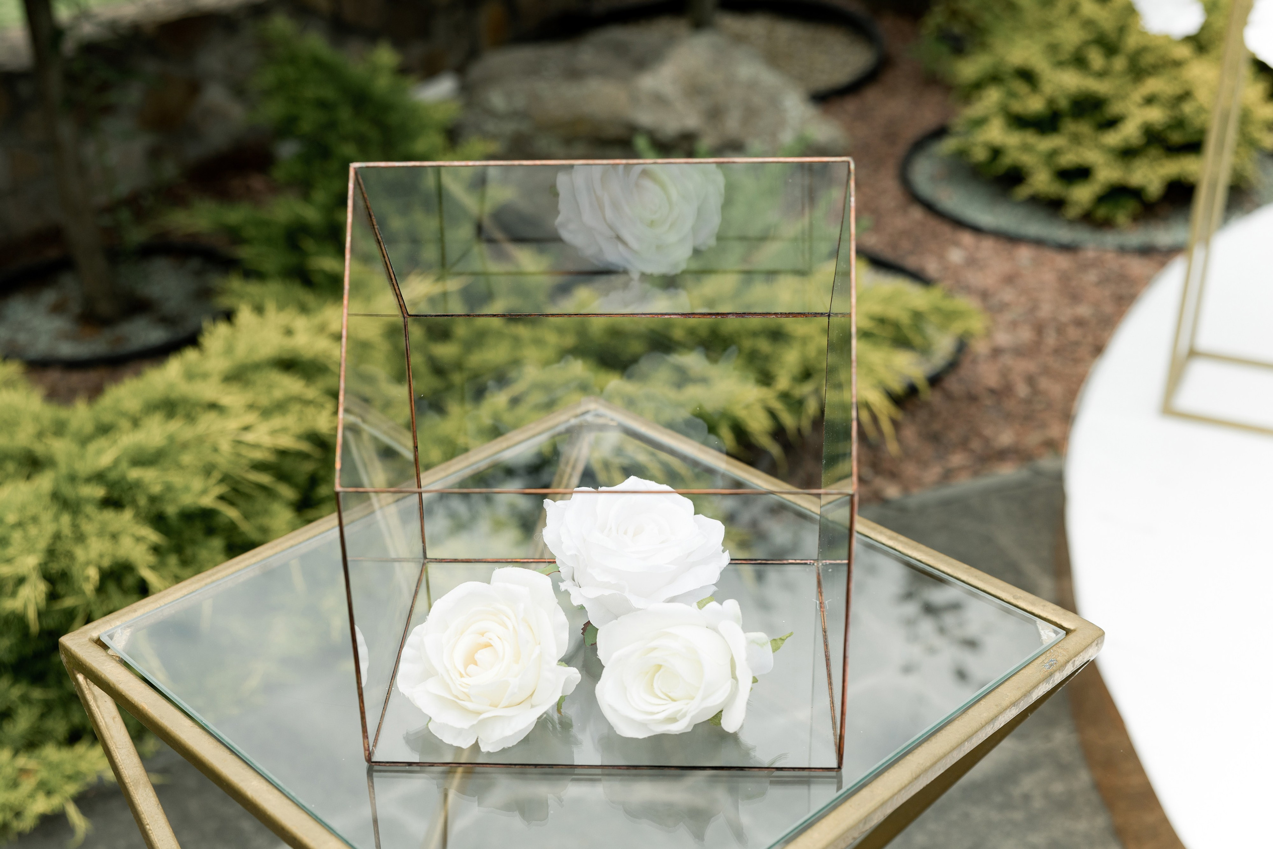 Anna Dmytro. Ірина Терещук