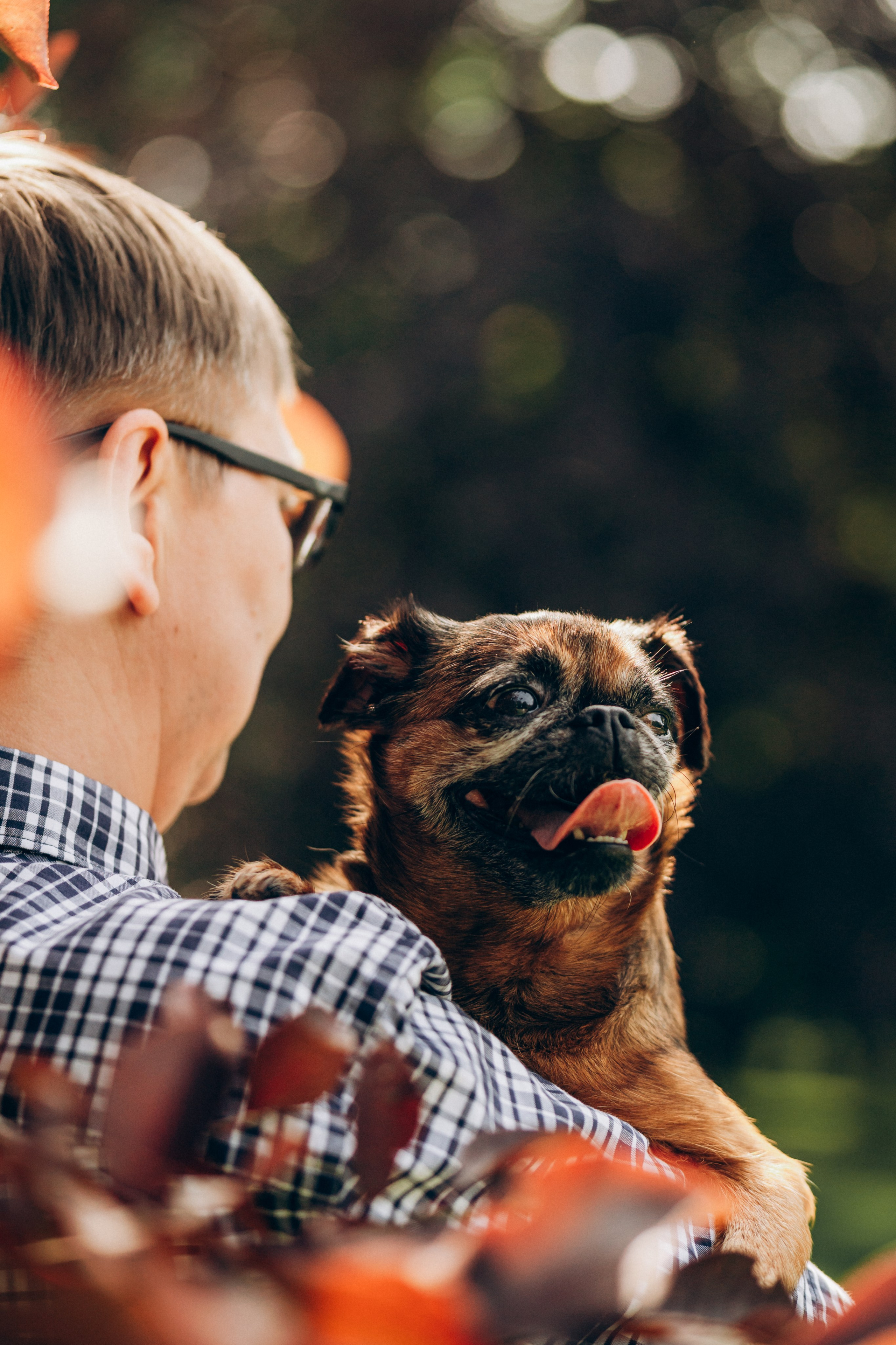 Natalia, Janik, Nusha & Betty. Фотограф-анималист в Таллинне, Катя Лайсаар