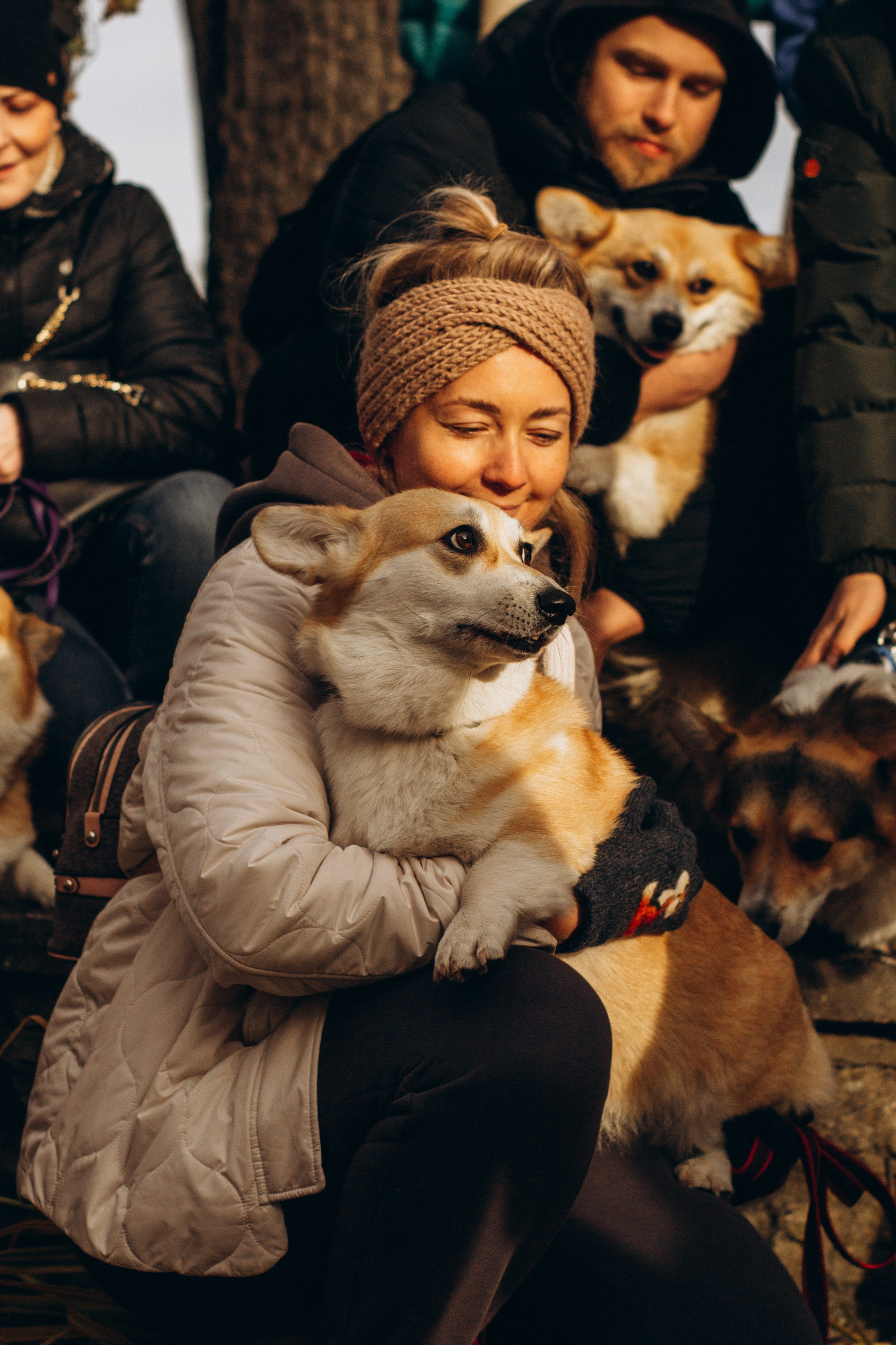 Corgi party, october. Kat Laisaar — Pet photographer in Tallinn
