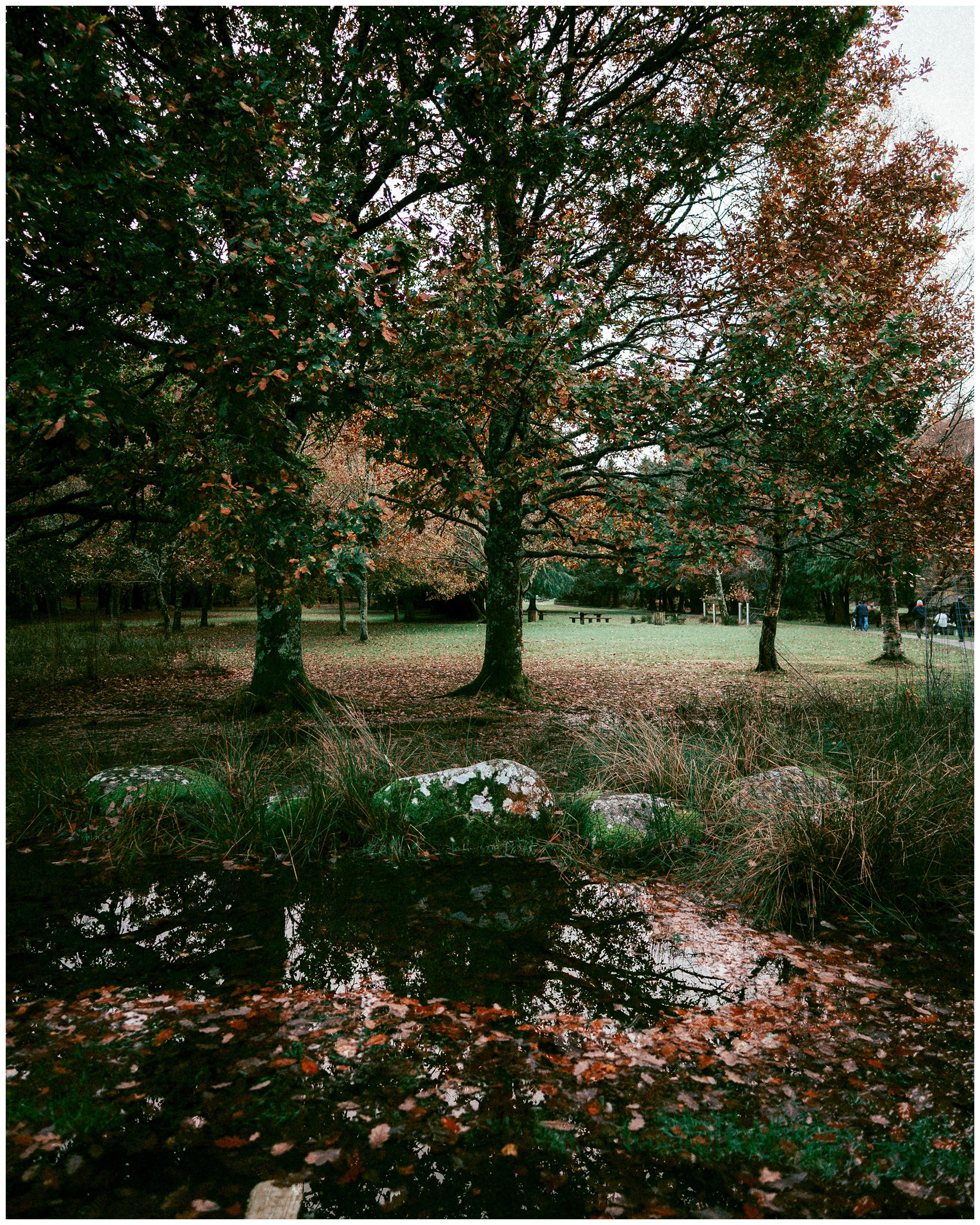 IRELAND. Inna Mendelson — Photographer