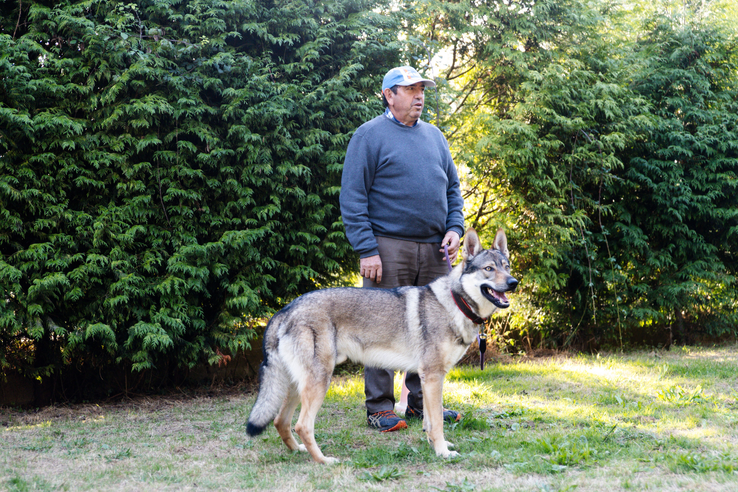 Sesiones fotográficas a mascotas. RabelByCris Fotógrafa en Coruña de Eventos, sesiones, mascotas
