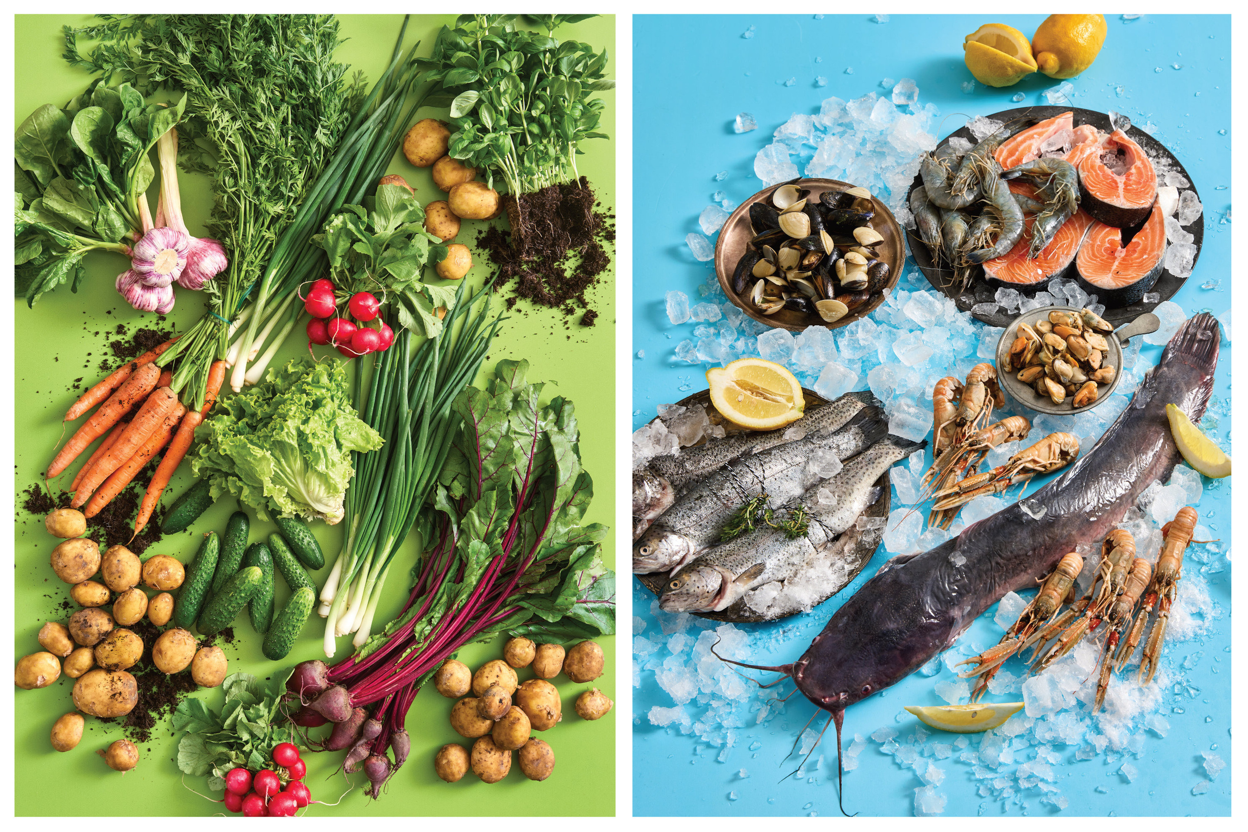 Ēdienu fotogrāfs. Ēdienu fotogrāfs