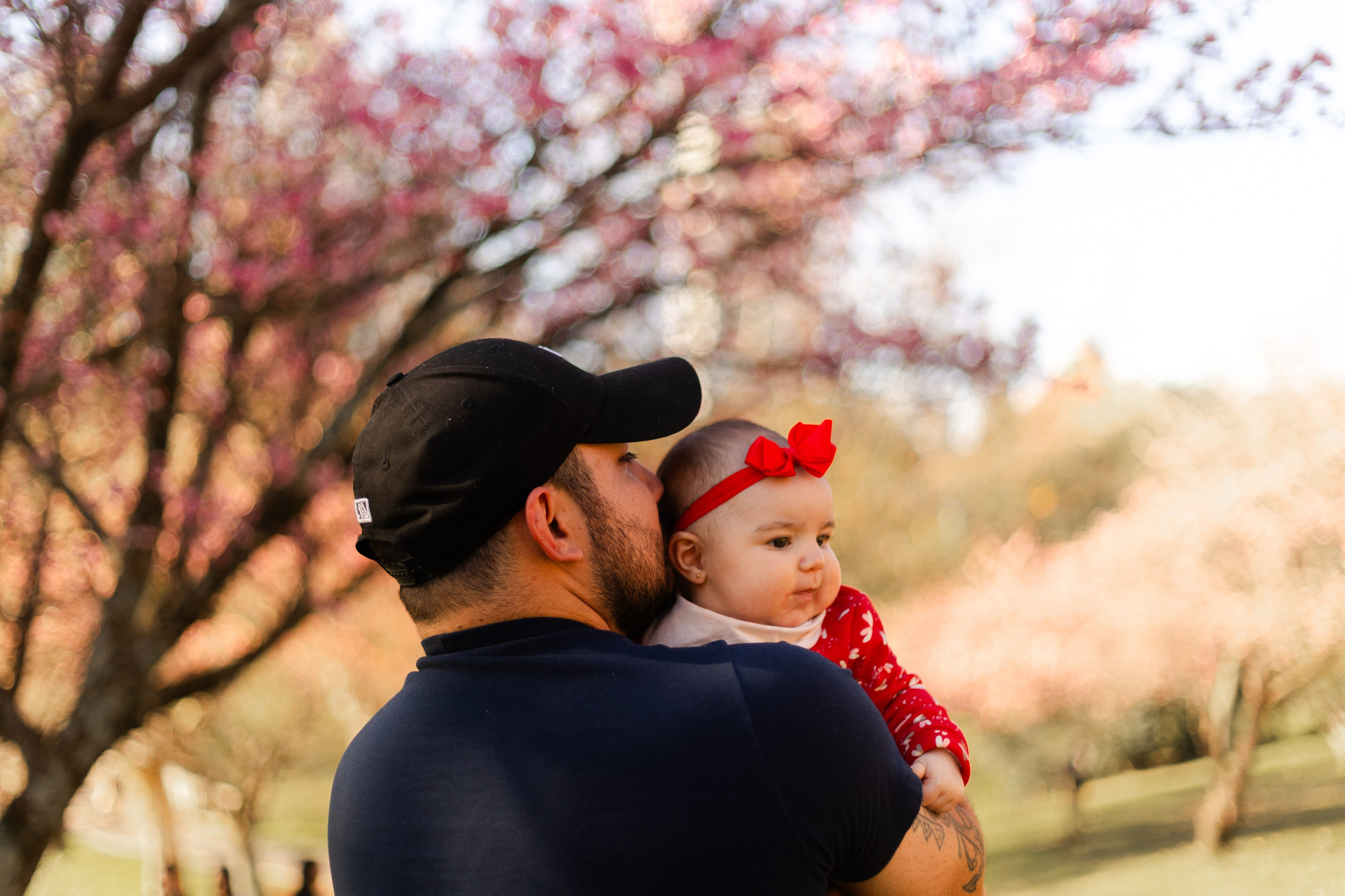 Minha familia nas cerejeiras