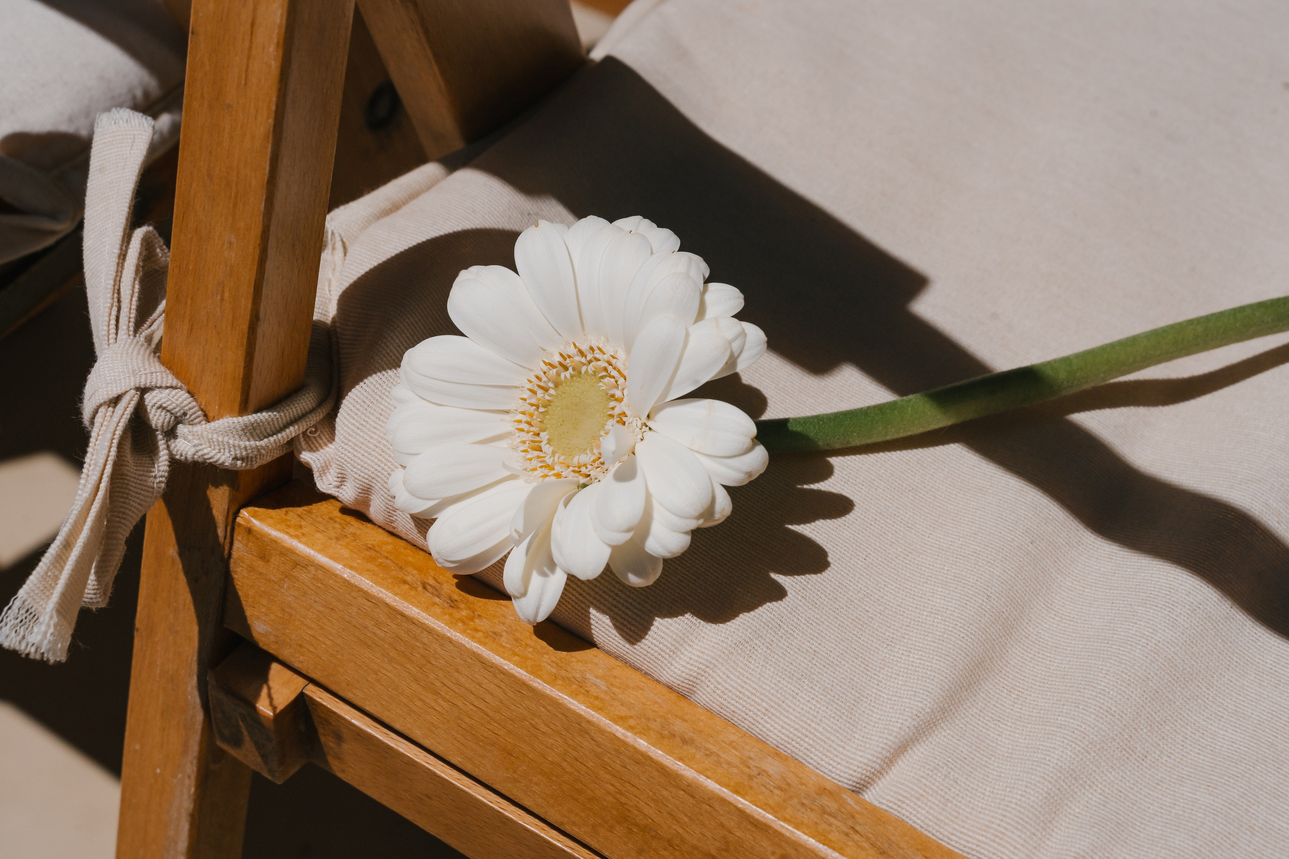 A&M. Fotógrafa de bodas y familias en España, Valencia: Nadia ProFoto