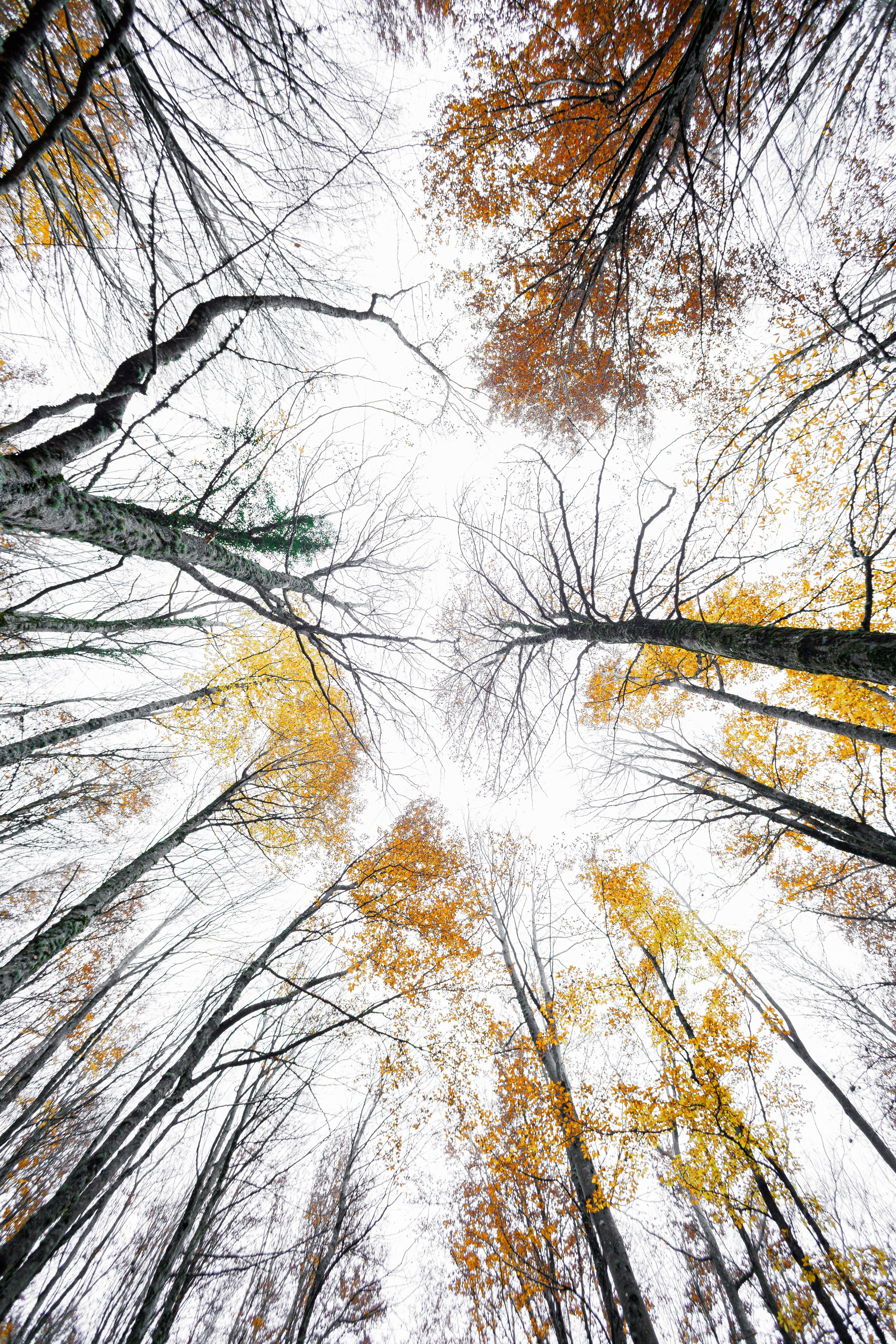 Fotografia de Natureza – Portfólio | Paulo Marques Photography. Paulo Marques Photography