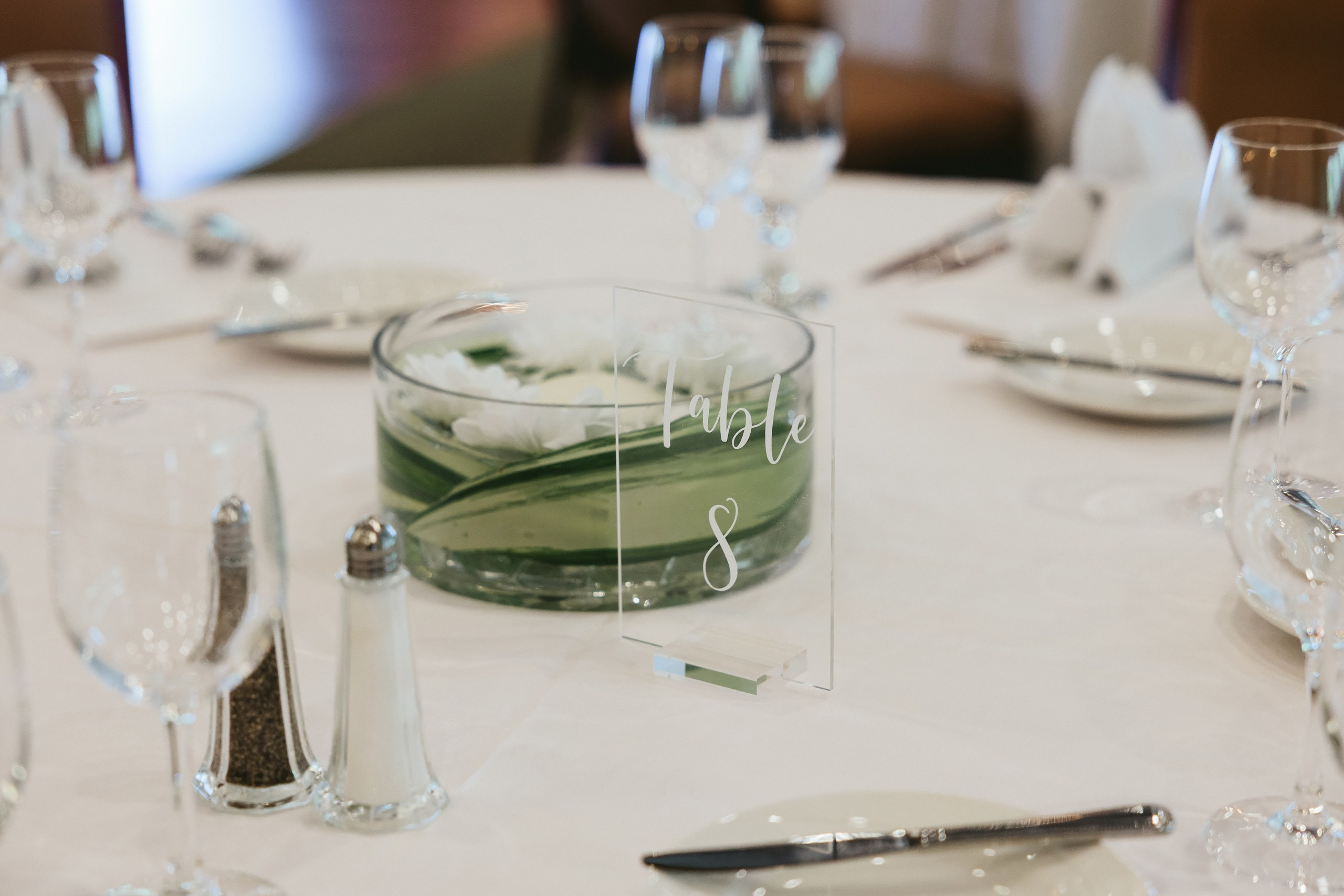 06.14.2025 Wedding. Wedding family event photographer in Chicago Nick Yushevich