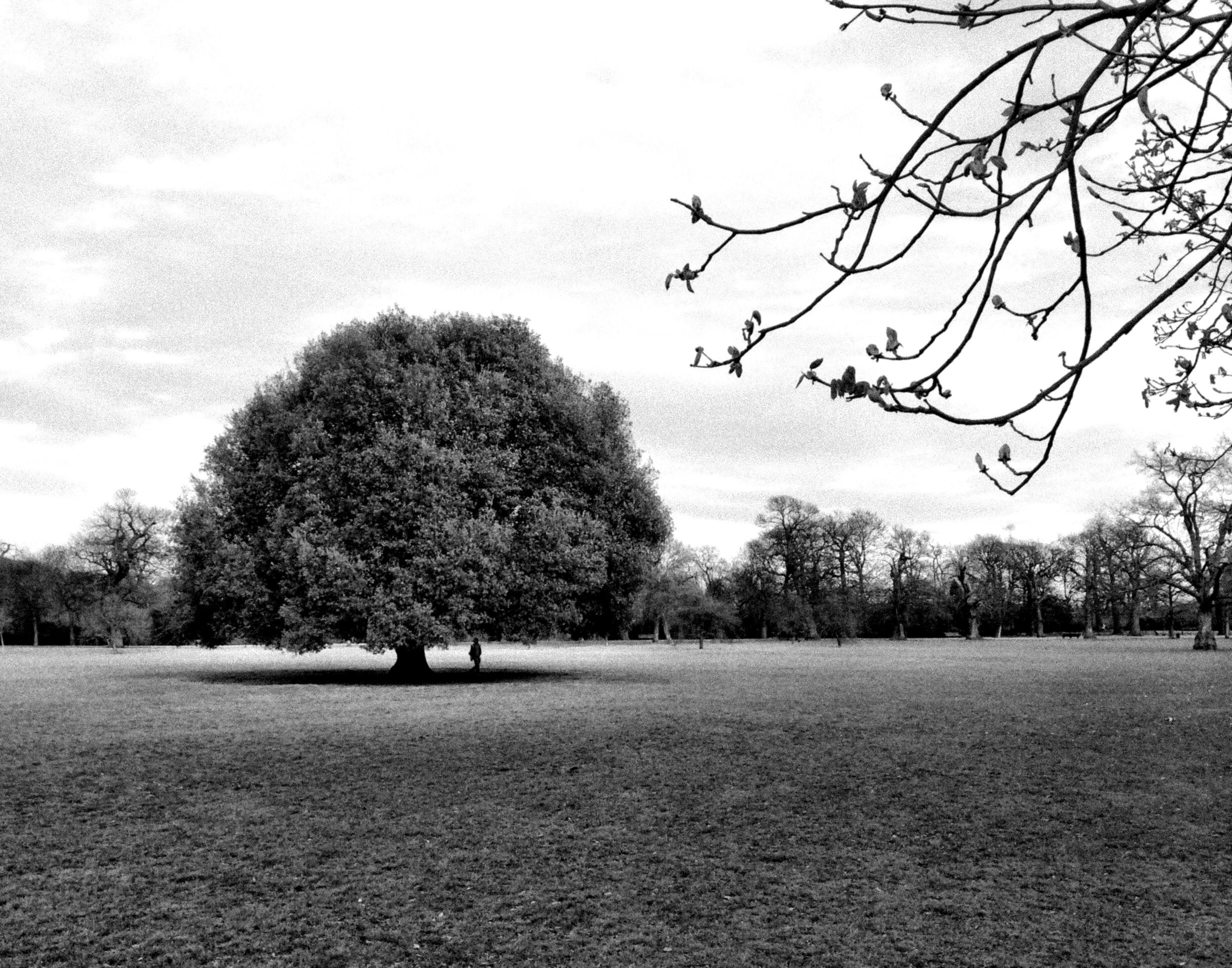 Hyde Park, London, UK