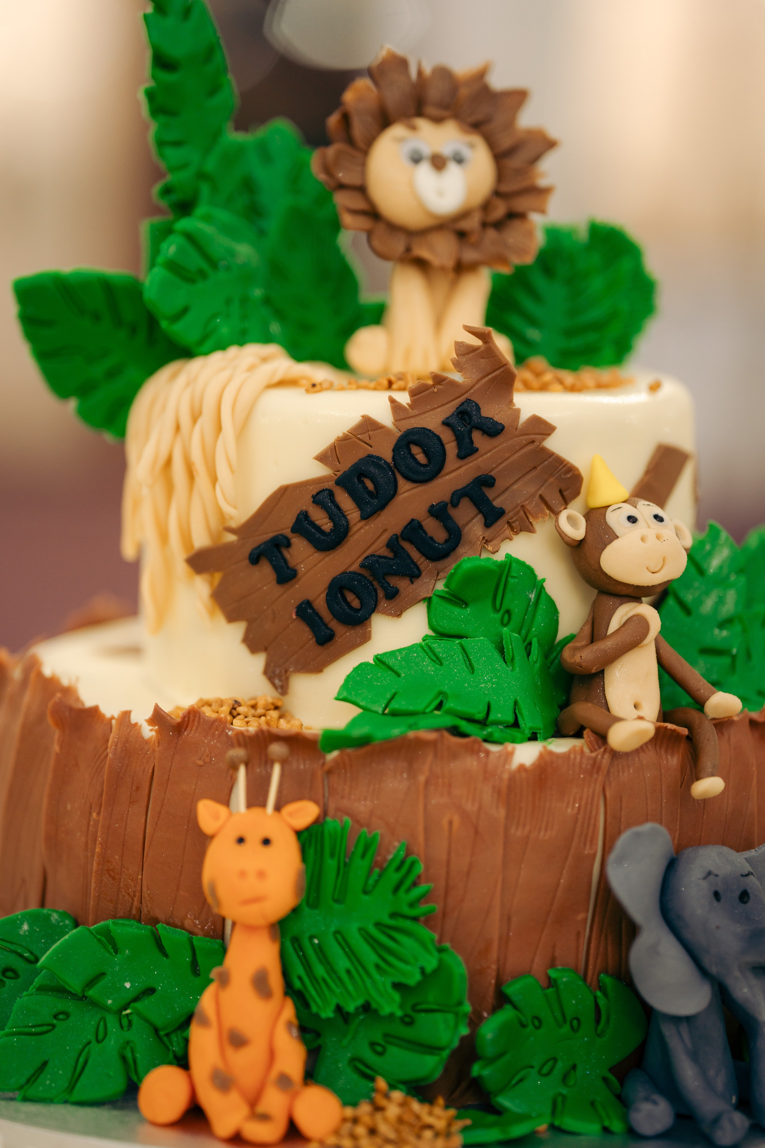 Tudor. CC Photography \ Fotograf Profesionist \ Evenimente