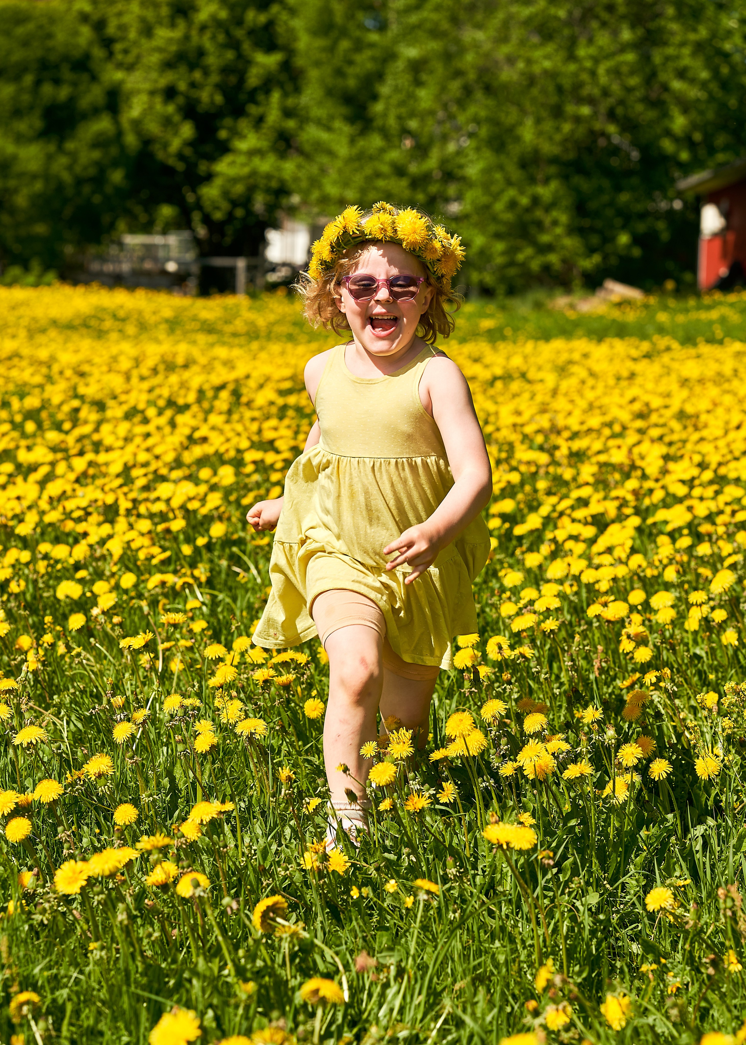Barnfotografering. Family and portrait photographer Natalja Biteniece