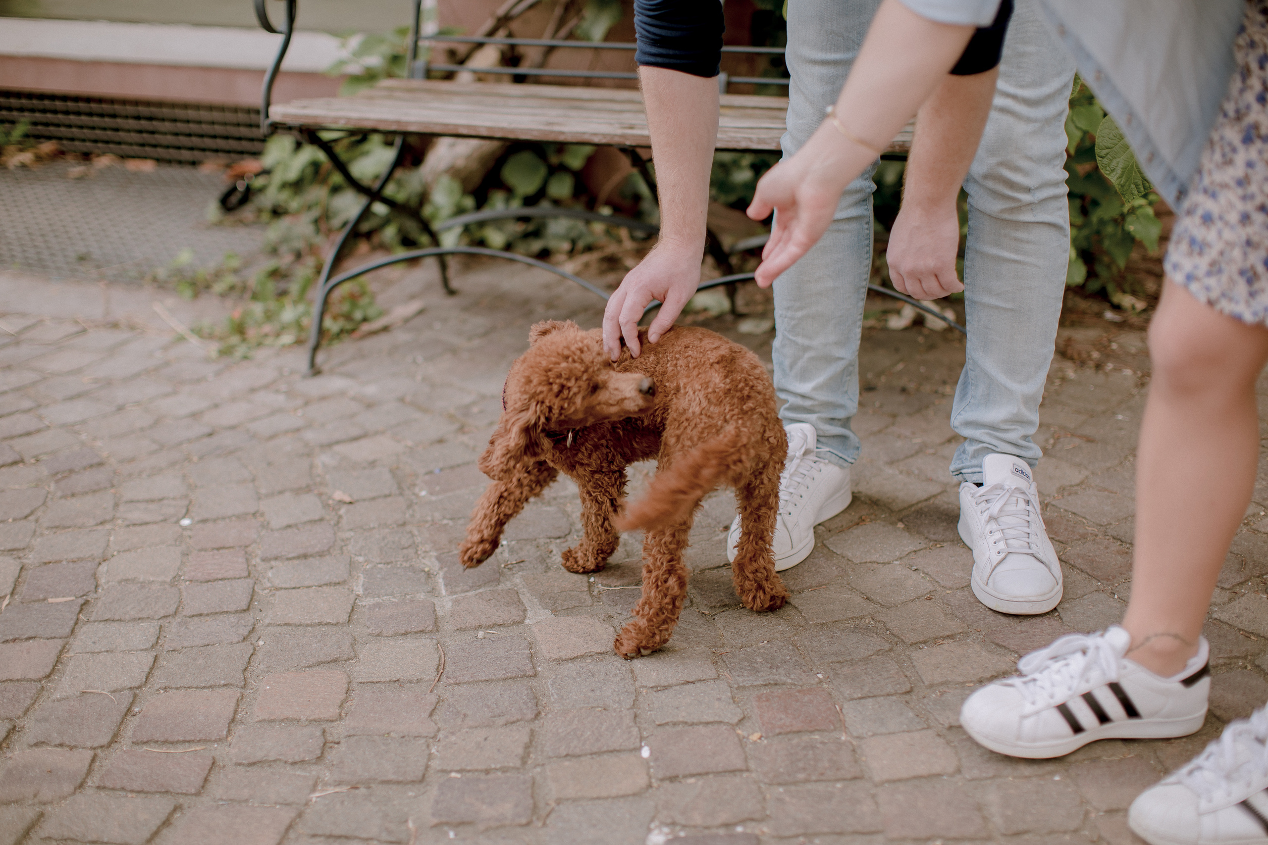 Lovestory in Karlsruhe. Maria Chistyakovа — Fotografin in Karlsruhe, Baden-Baden und Umgebung