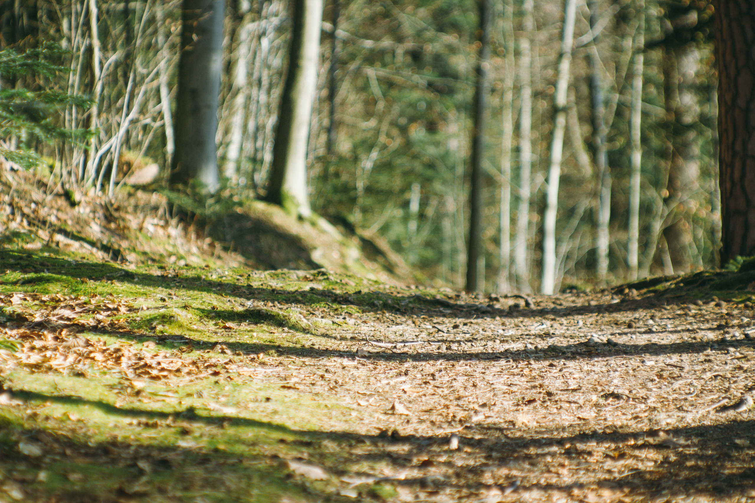 Frühlingsfotoshooting in Baden-Baden. Maria Chistyakovа — Fotografin in Karlsruhe, Baden-Baden und Umgebung