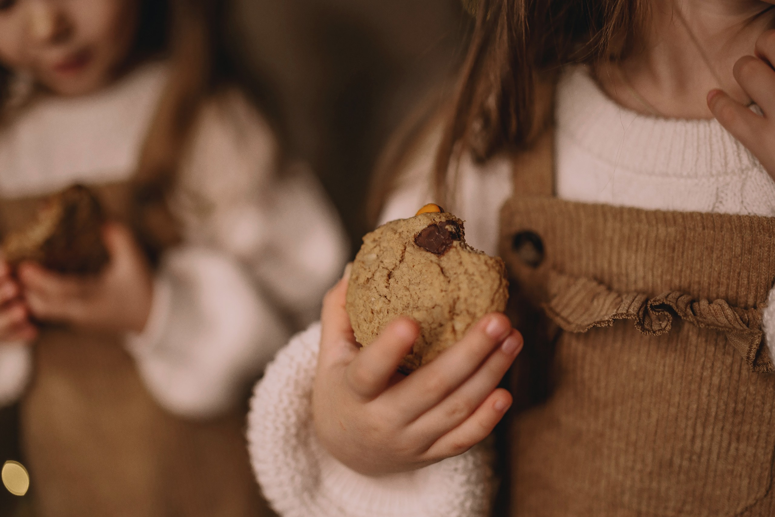 11.26.2025 Christmas Photoshoot. Wedding family event photographer in Chicago Nick Yushevich