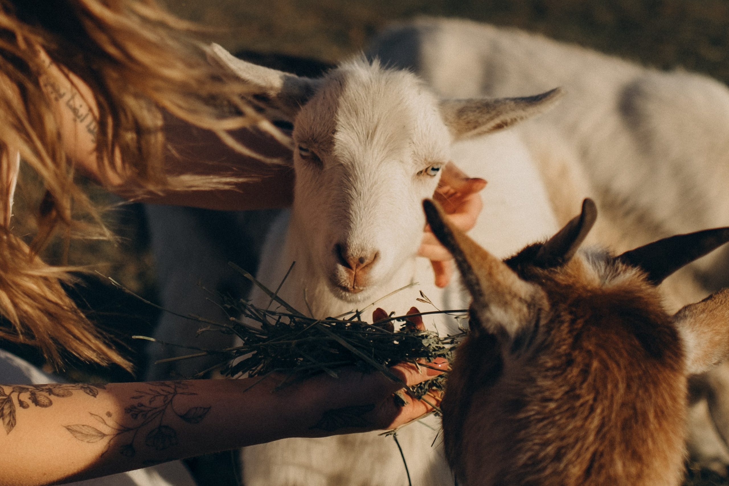 Mommy to Be. Lens Captures Life