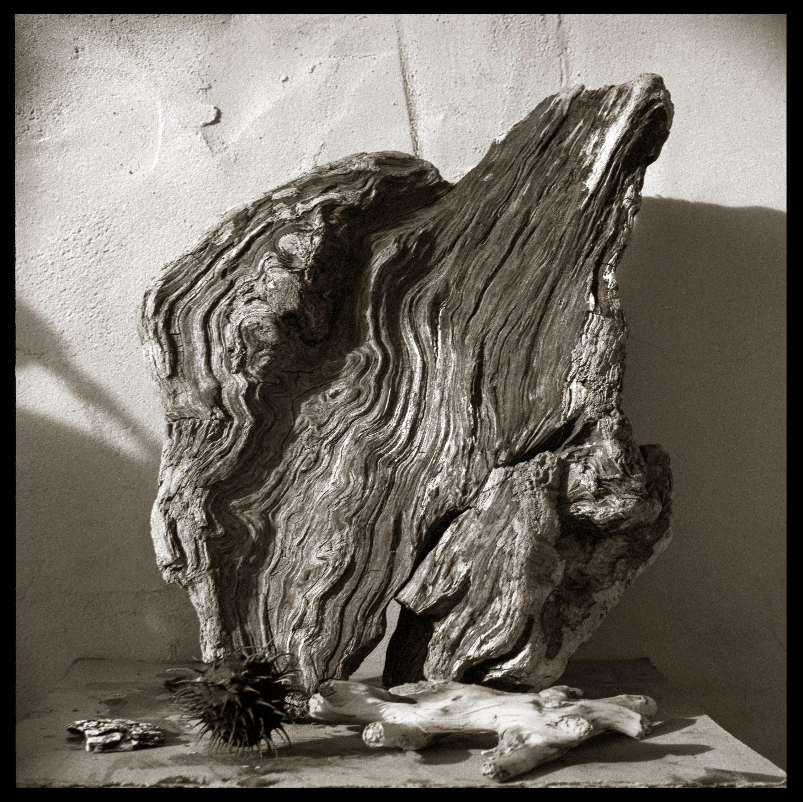 Composition. Www.sananaleskerov.com