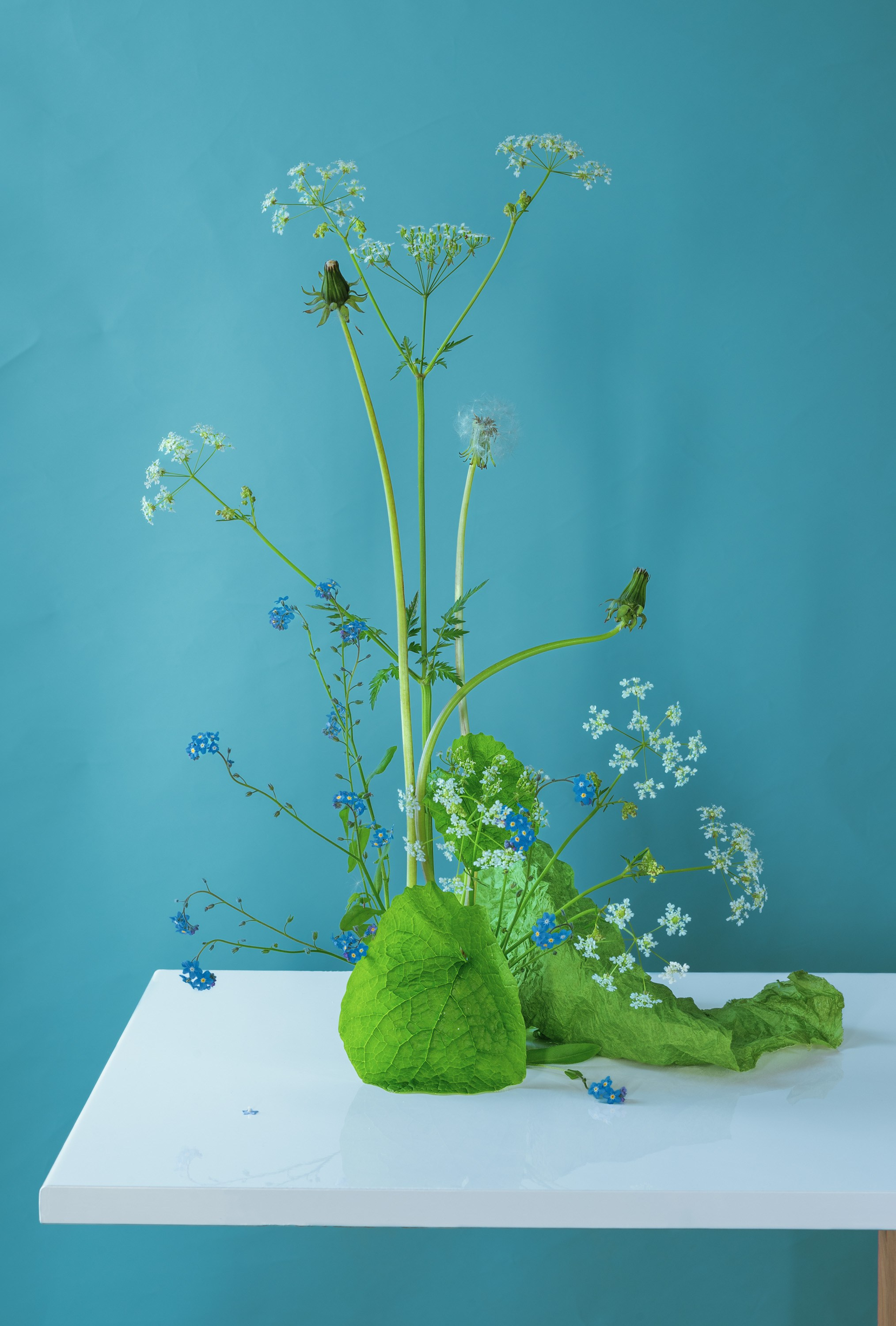 Marina Tsaregorodtseva photographer uk still life contemporary composition  