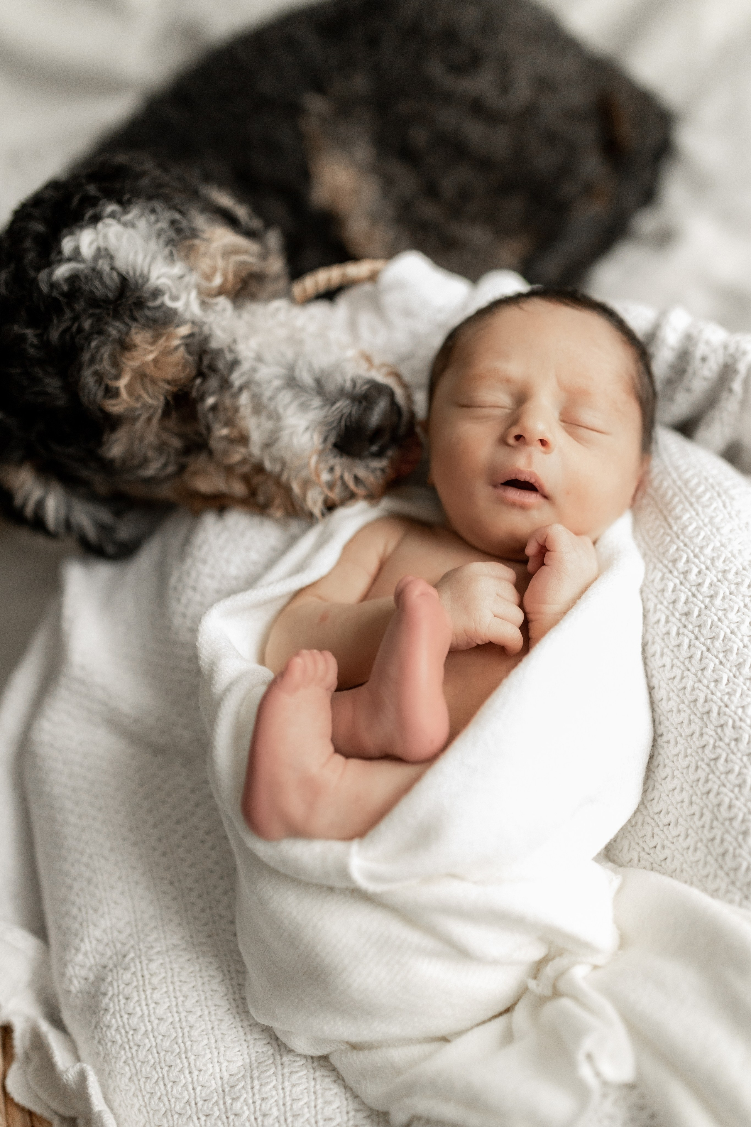 Newborn Lifestyle. Family photographer in Bay Area, California