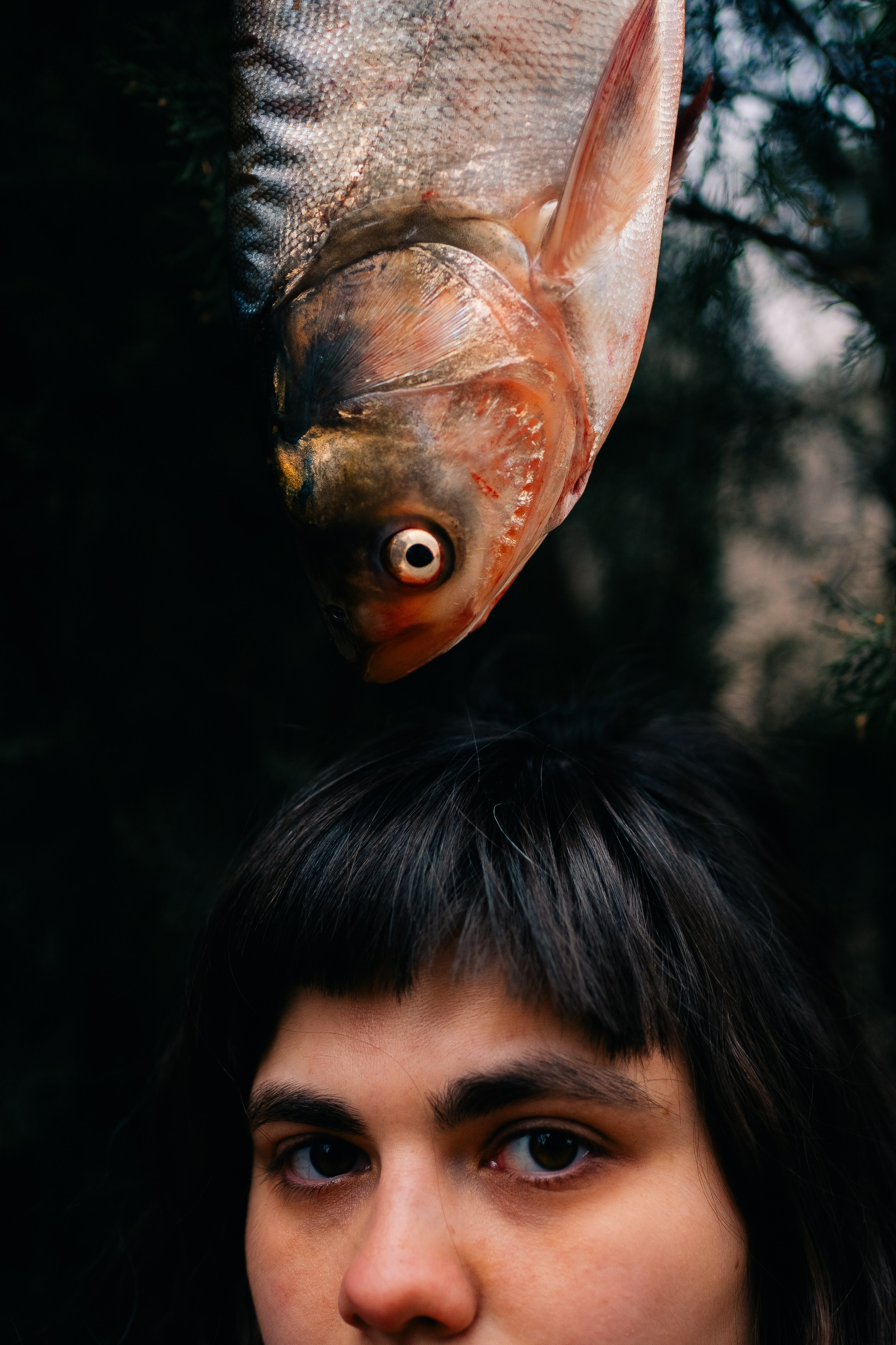 Masha. Maria Sher. Fotógrafa profissional do Porto, Portugal