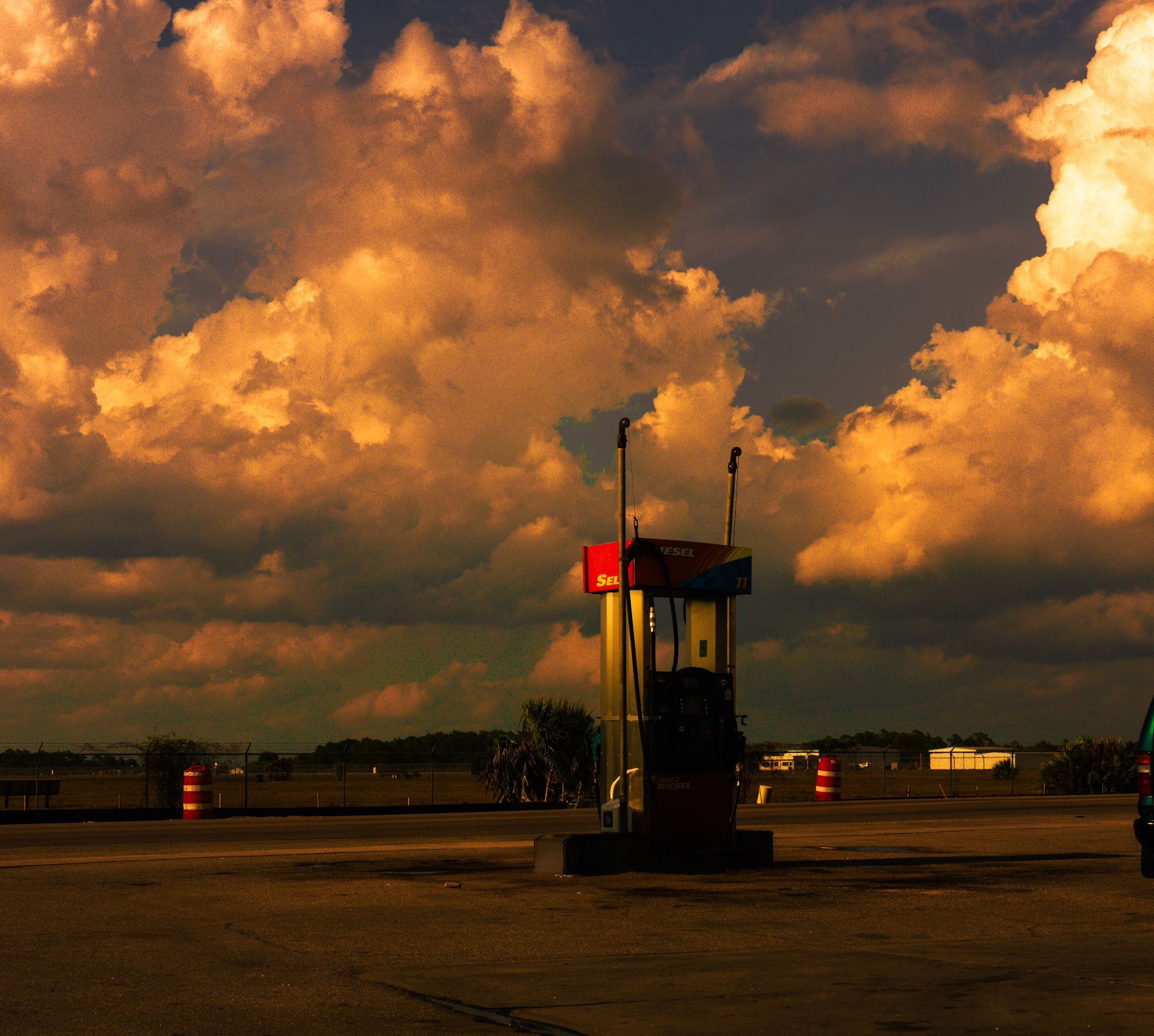 Poetry Series. Out and About 239