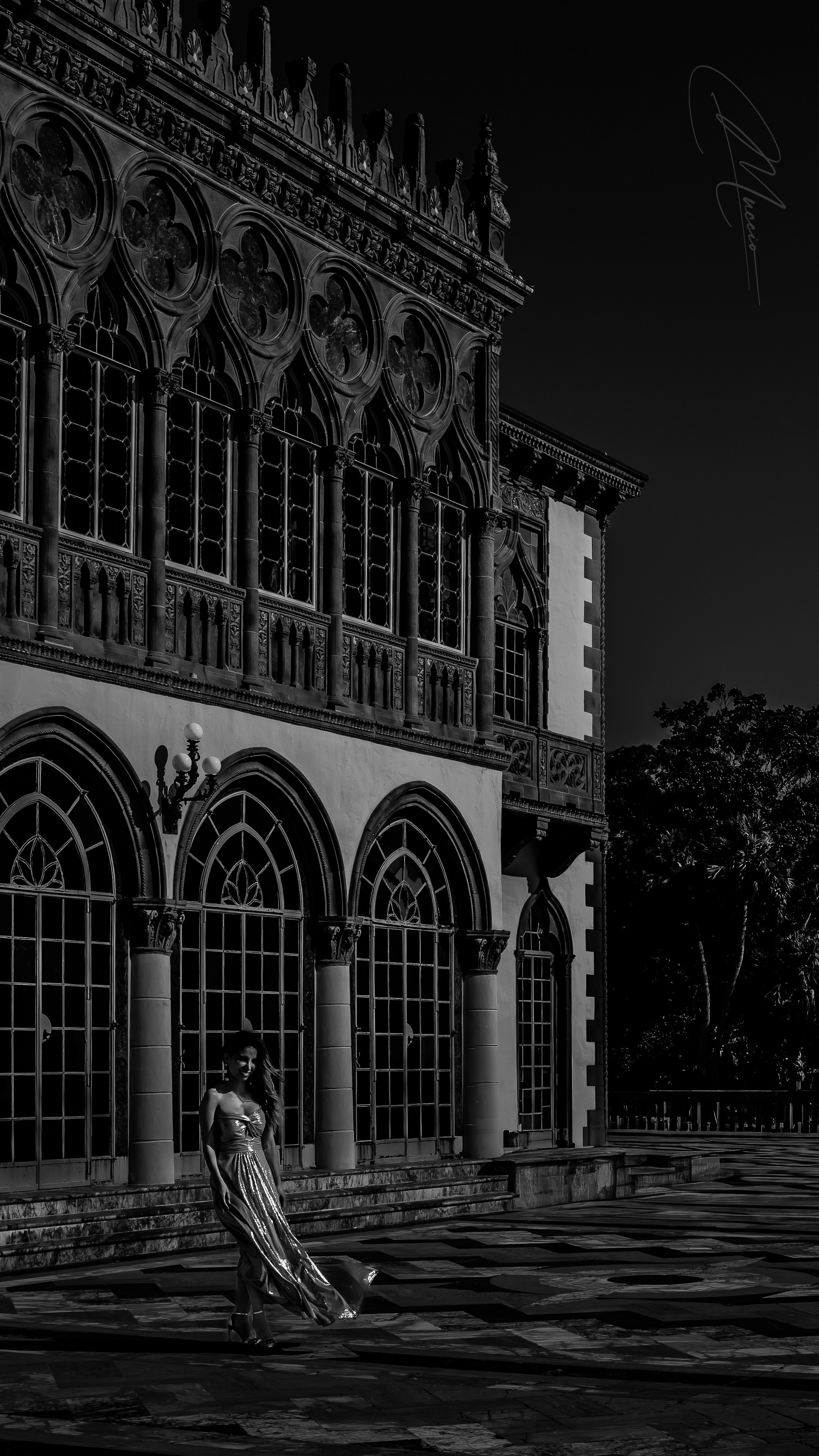 Black and White. Out and About 239