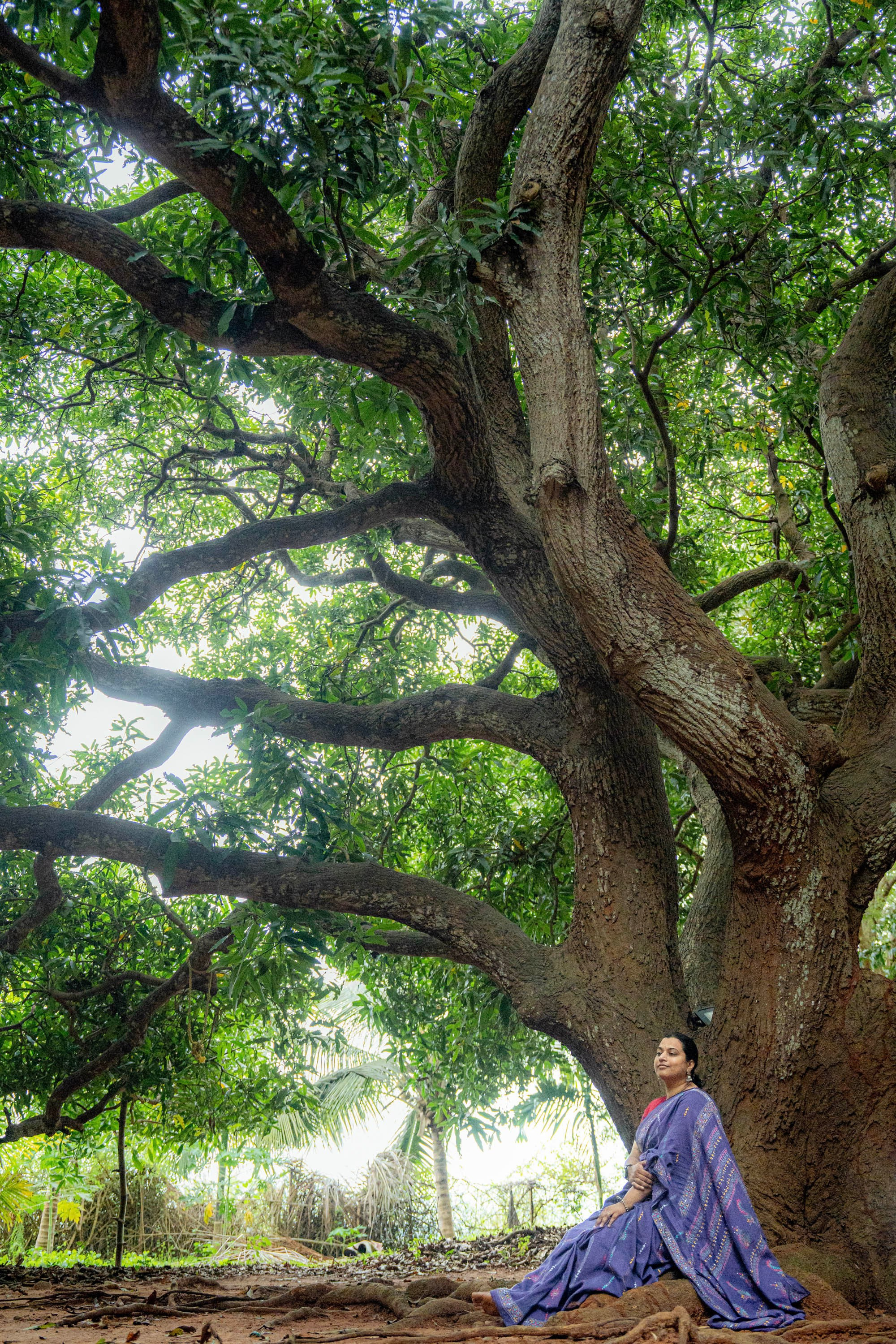 Shraddha & Sumukha, Mantra Mangalya Wedding under a Mango Tree, Red Earth Kabini | Truly Yours