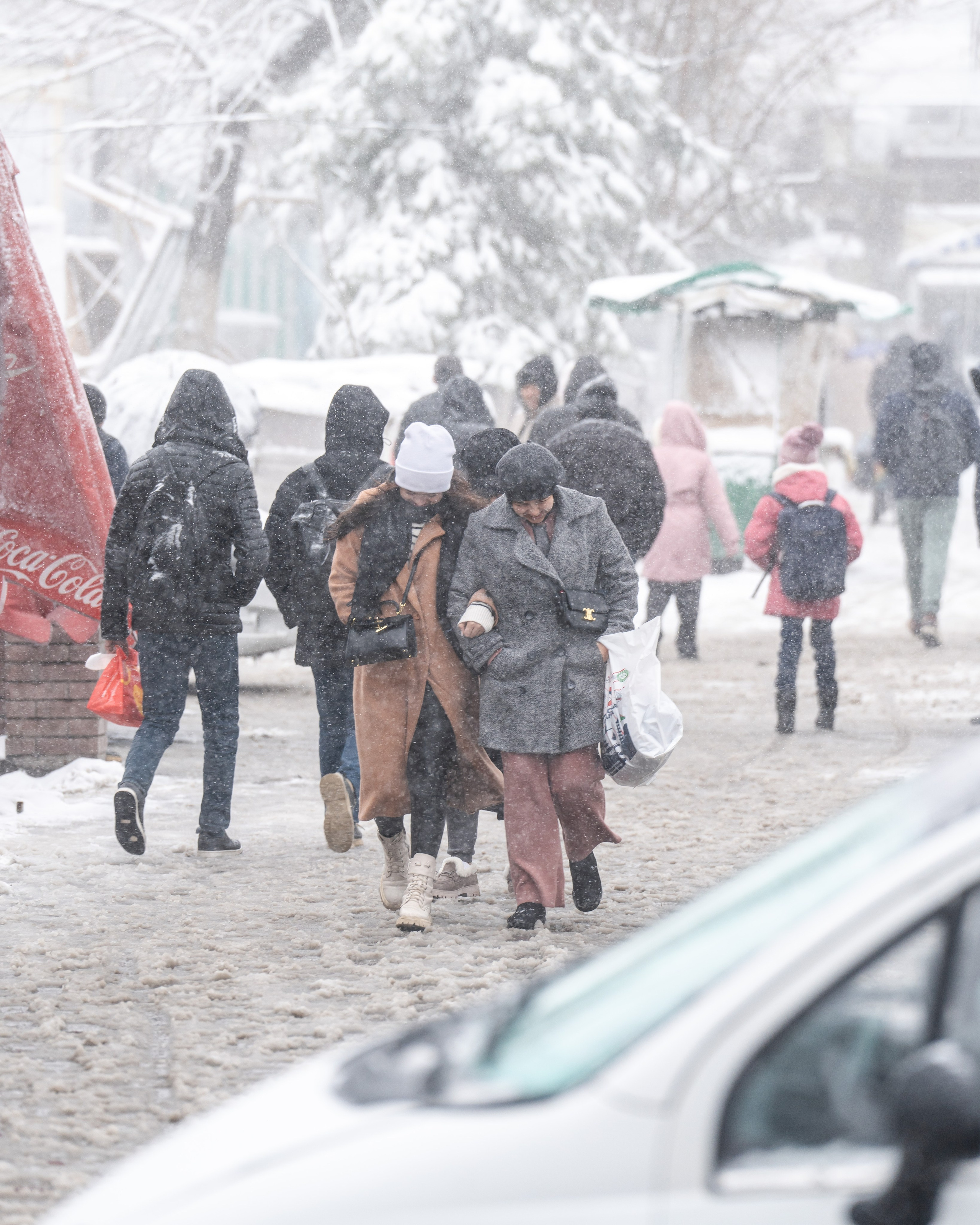 Снег. Георгий Намазов | Фотограф в Ташкенте