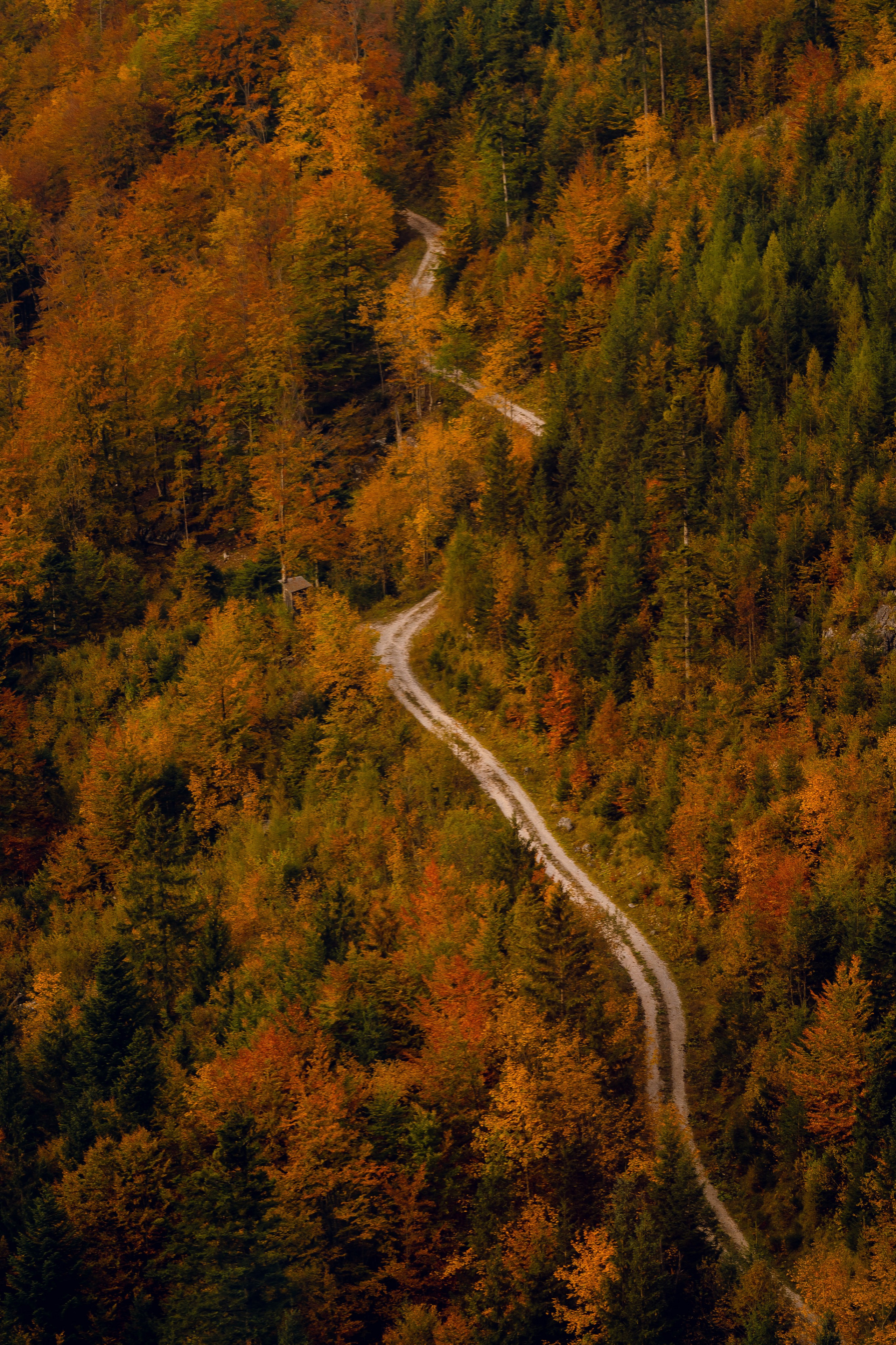 Wo die Liebe die Landschaft trifft: After-Wedding-Shooting in Hallstatt