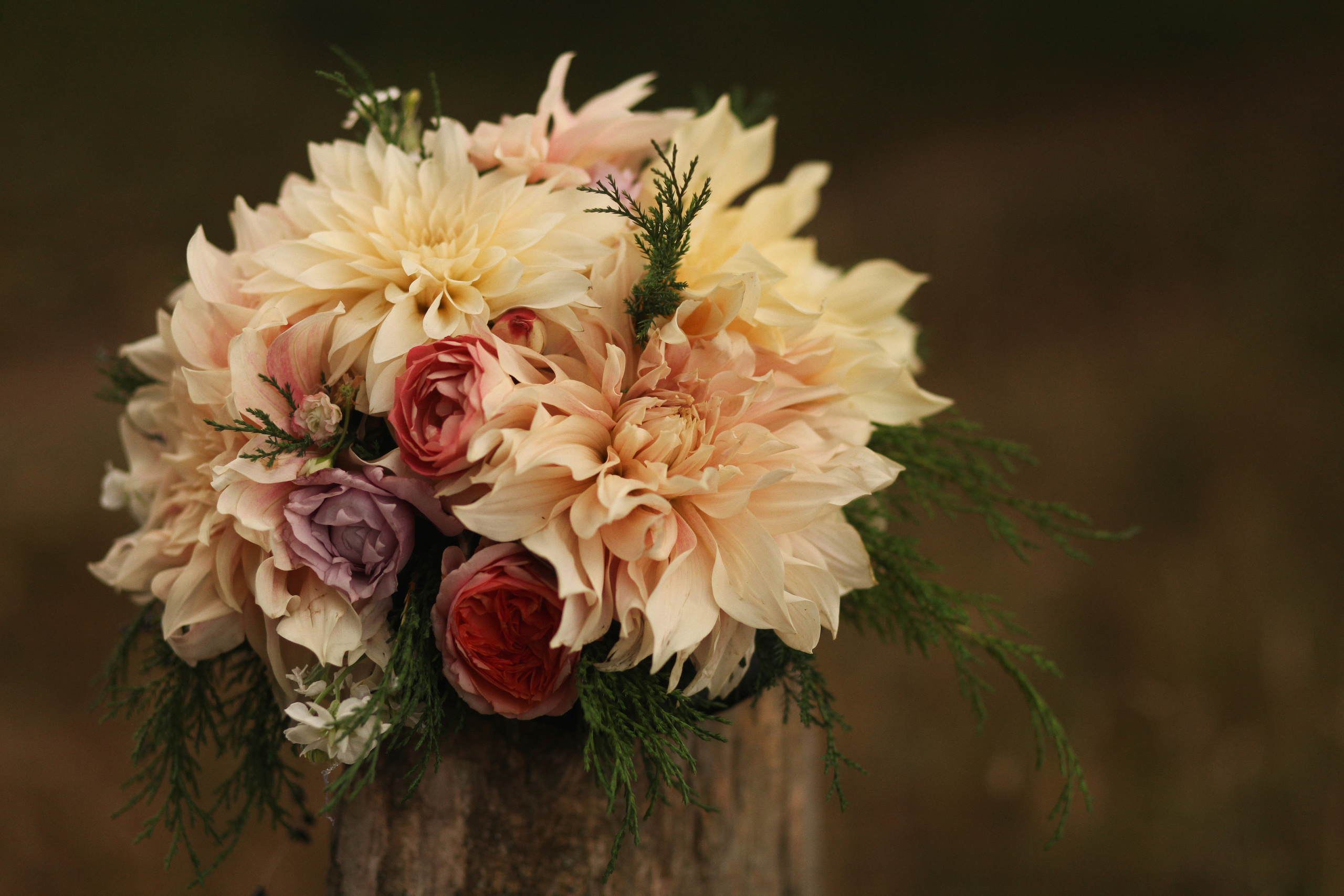 Love comes. Свадебный, семейный и детский фотограф в Беларуси и за ее пределами