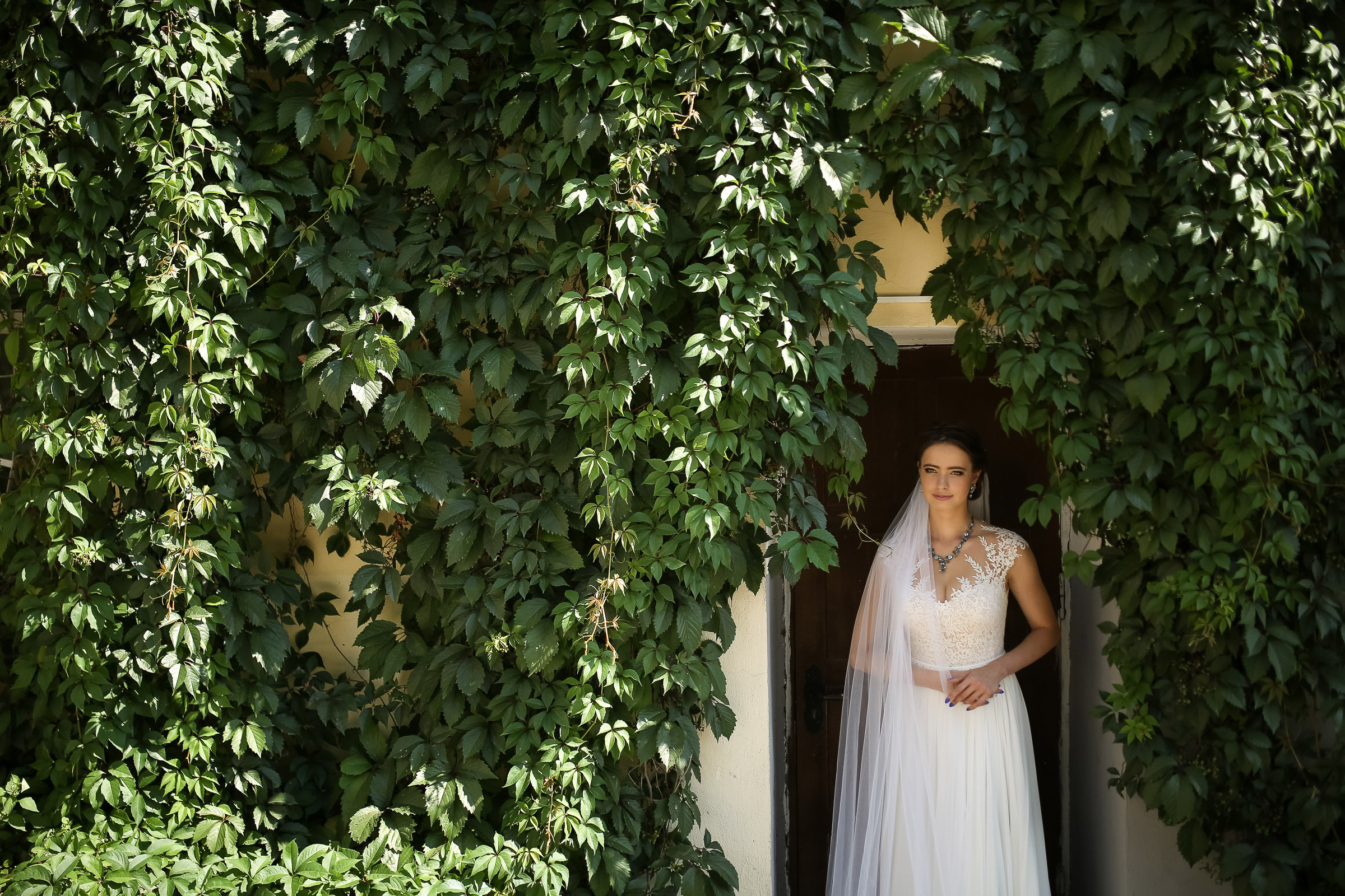 Wedding Day. Свадебный, семейный и детский фотограф в Беларуси и за ее пределами