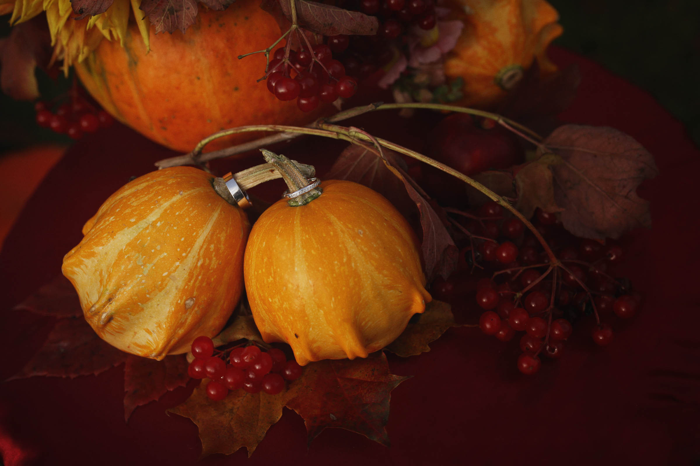 Осенняя. Свадебный, семейный и детский фотограф в Беларуси и за ее пределами