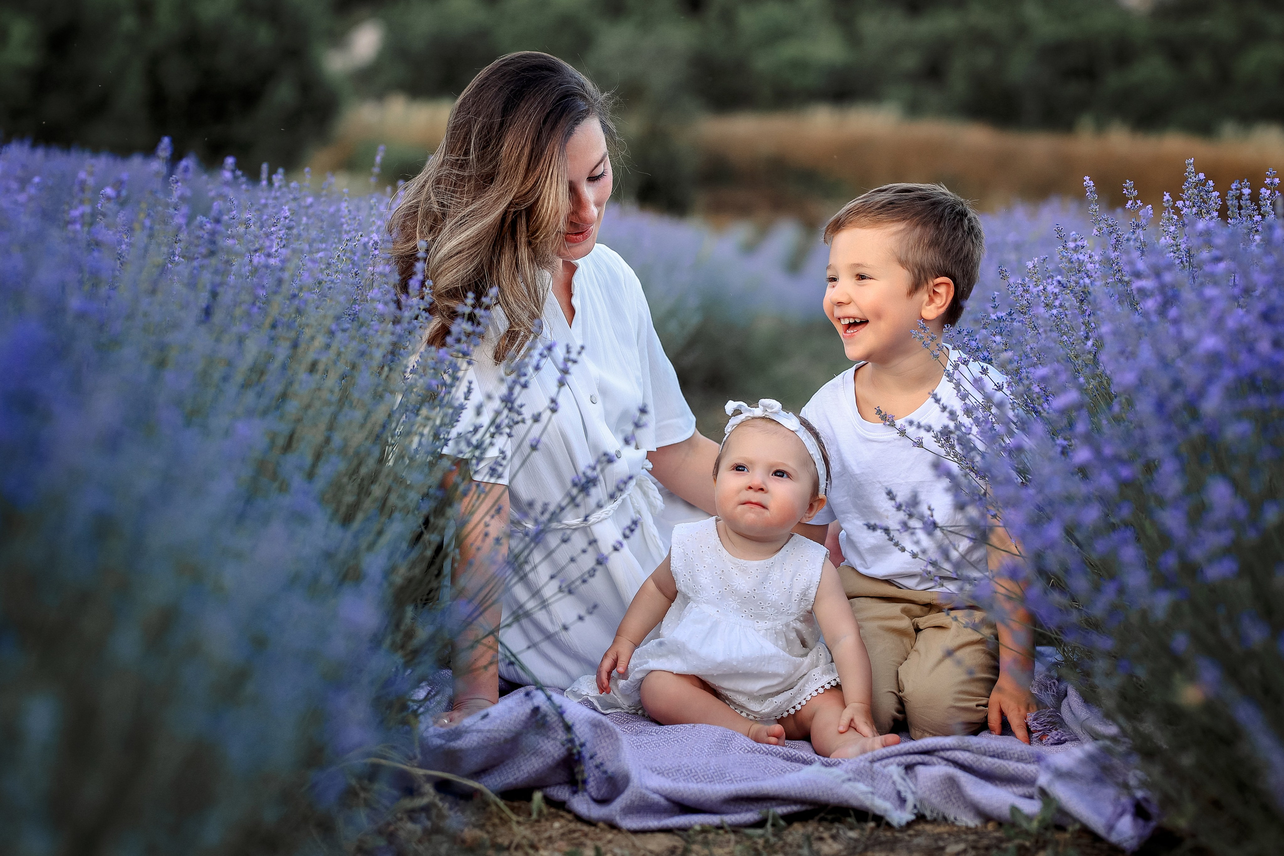 Lavender in Antalya. Photographer in Turkey, Antalya, Kemer, Belek, Side, Kas, Fethiye