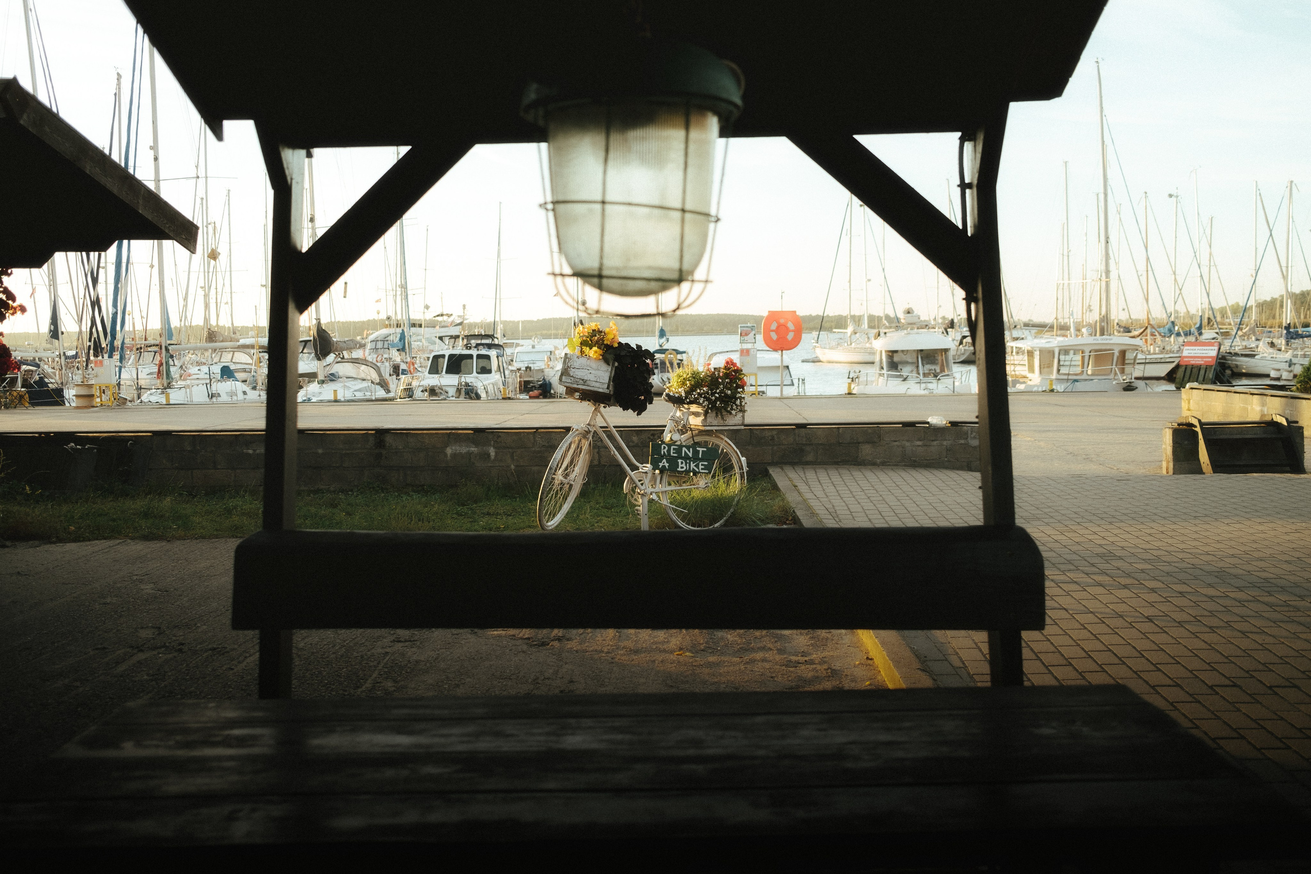 Roaming. Mike Avelli