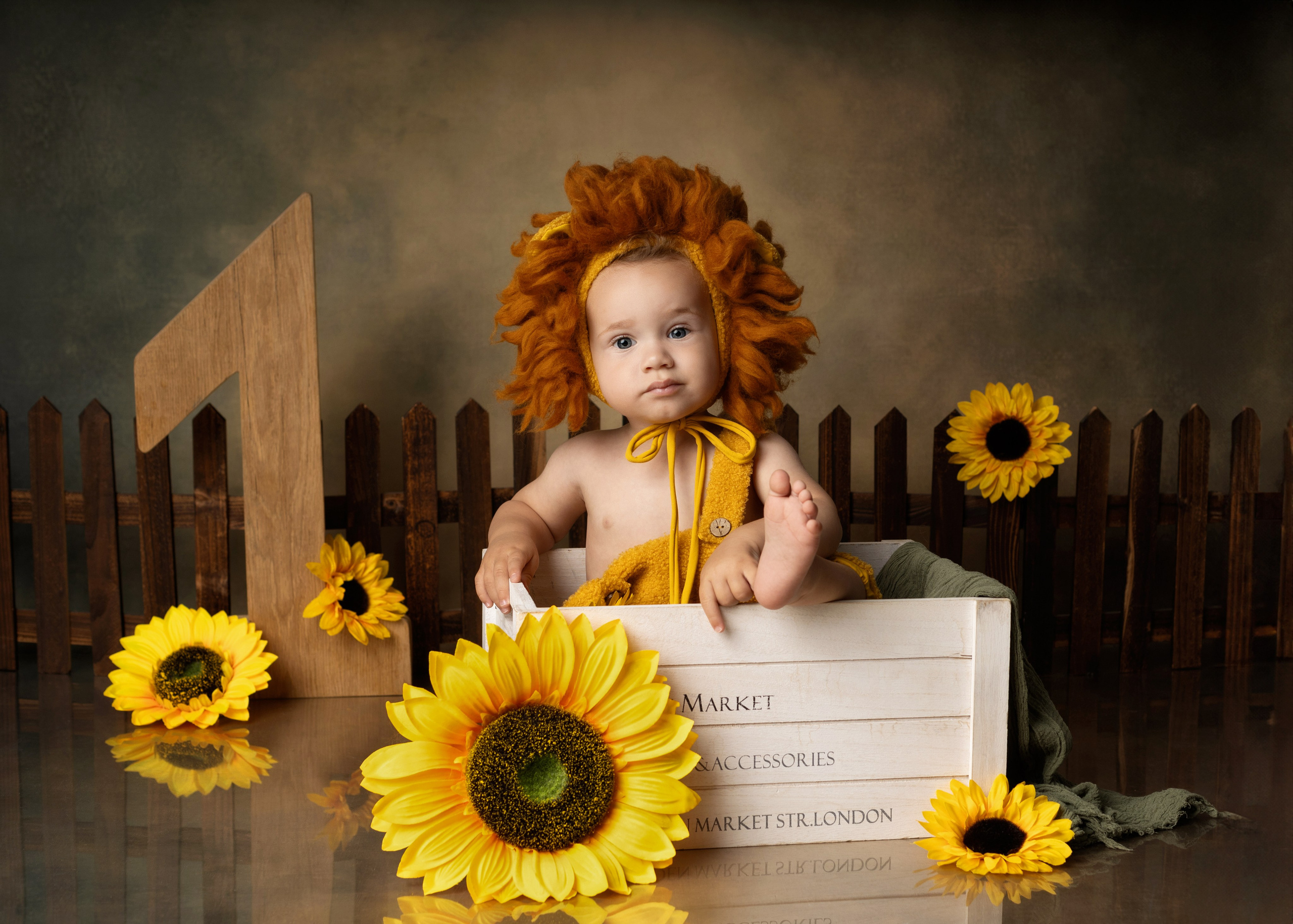 Каталог 7 Годик. Катерина Шустерман — фотограф Newborn, семейный в Израиле