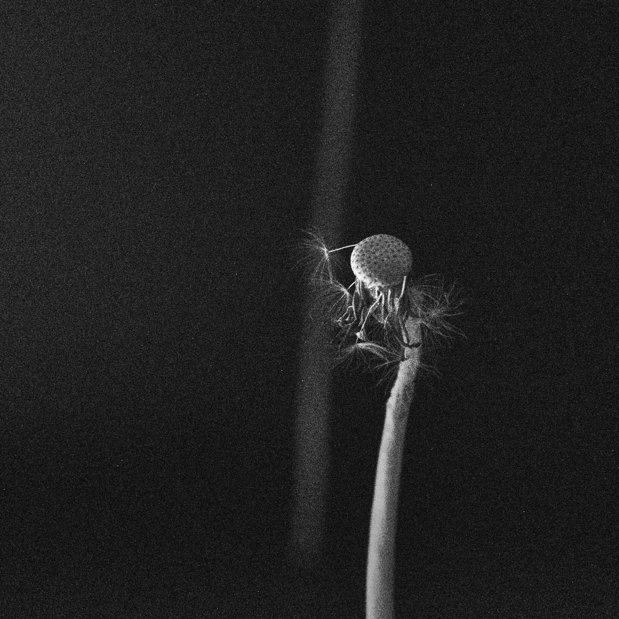 Art. Photographe à Rennes/Bruz